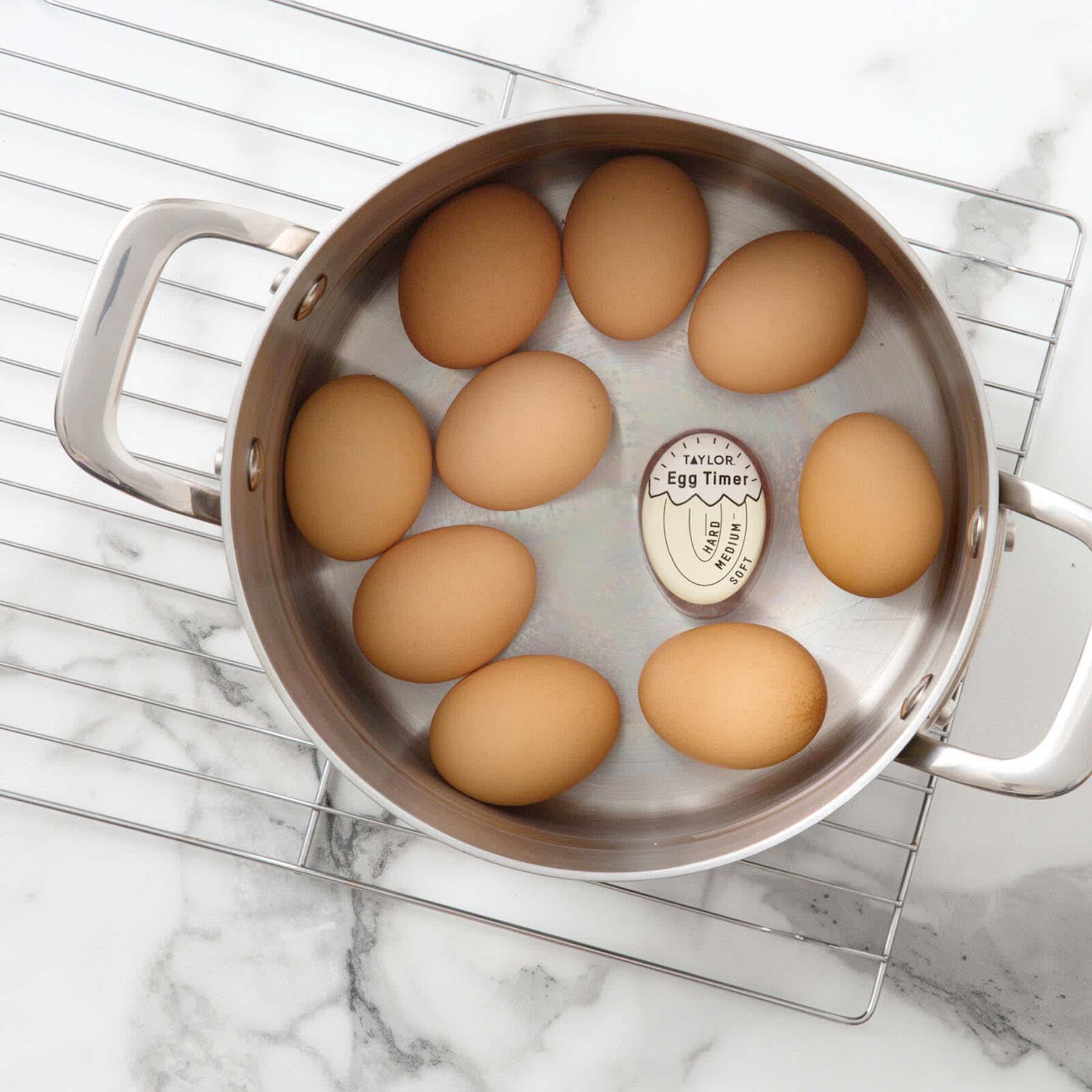Taylor Color-Changing Egg Timer