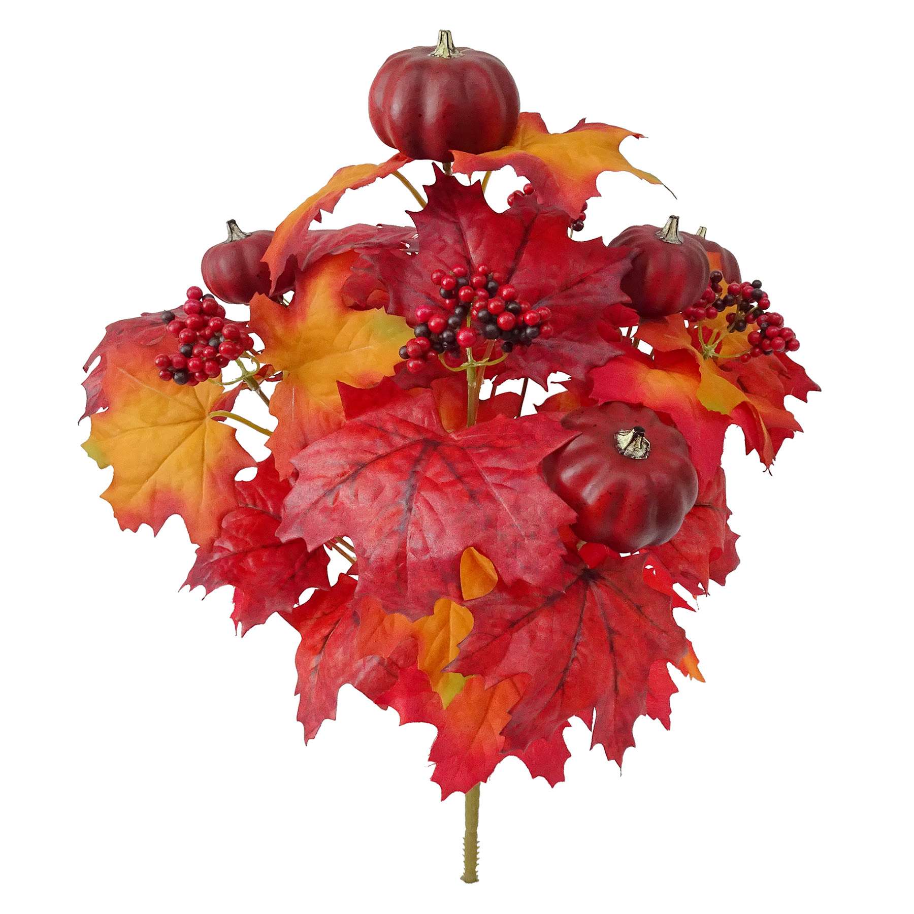 Maple & Pumpkin Mix Bush