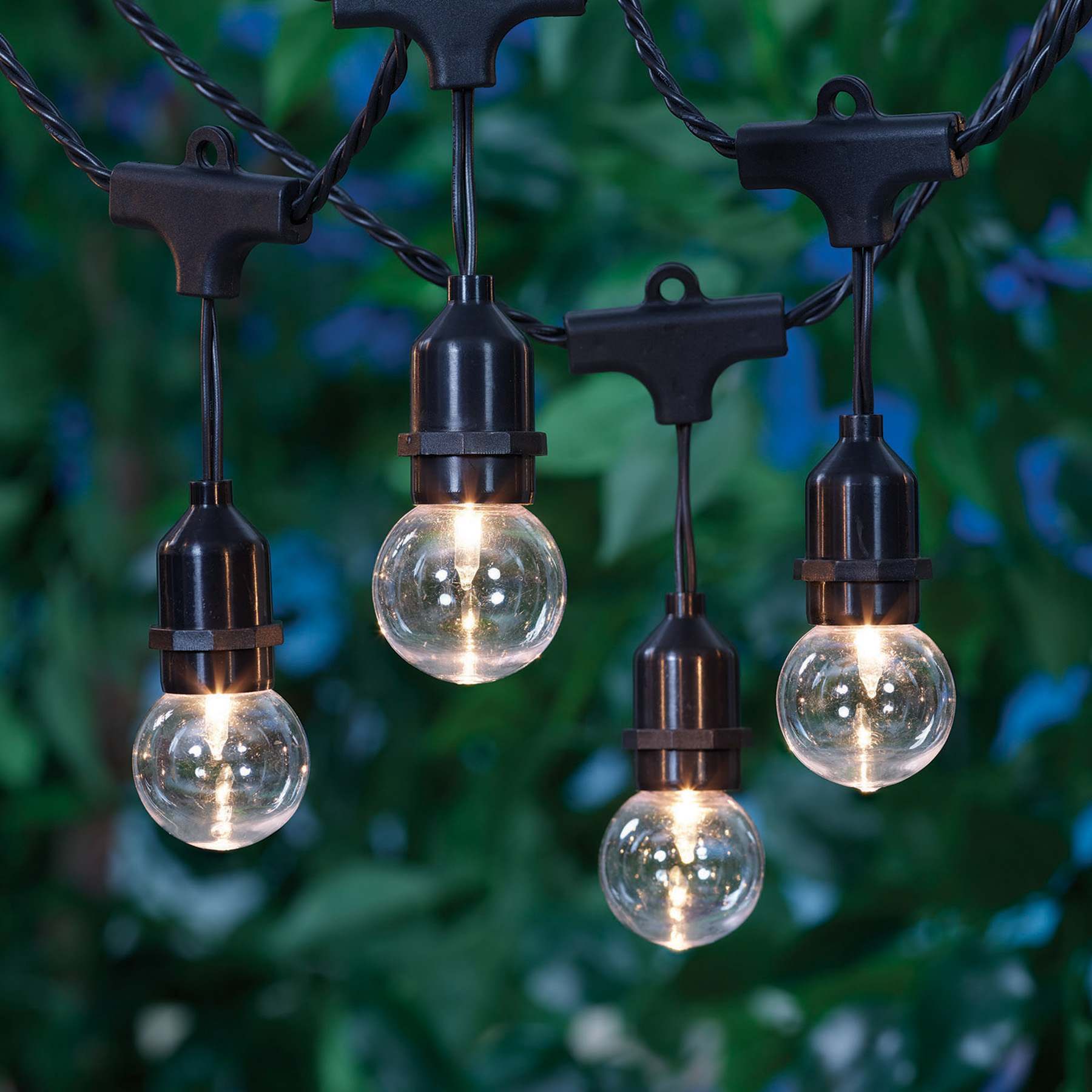 30-Count Clear G40 Globe String Lights with Black Commercial Wire