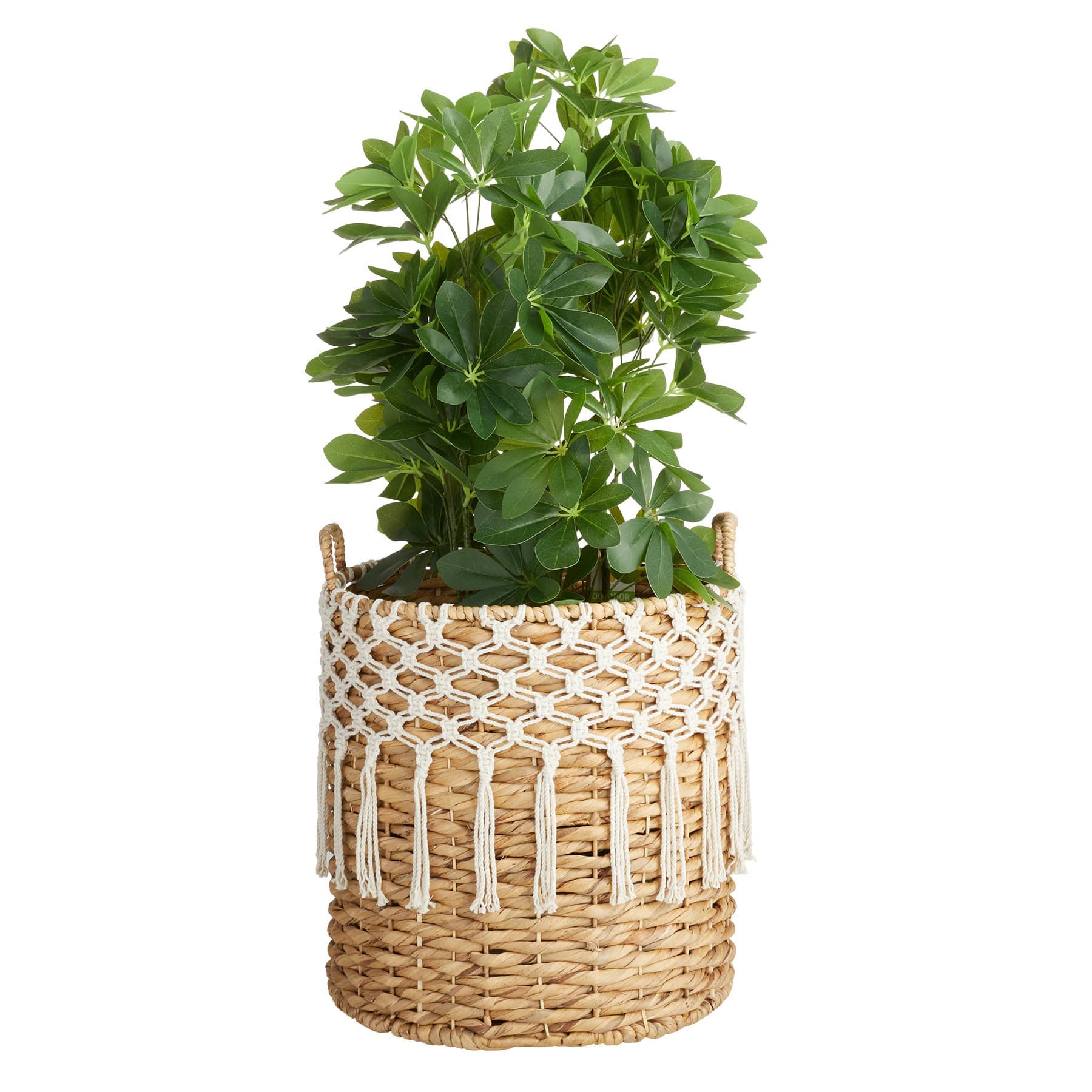 Found & Fable Water Hyacinth with Macrame Basket, Large
