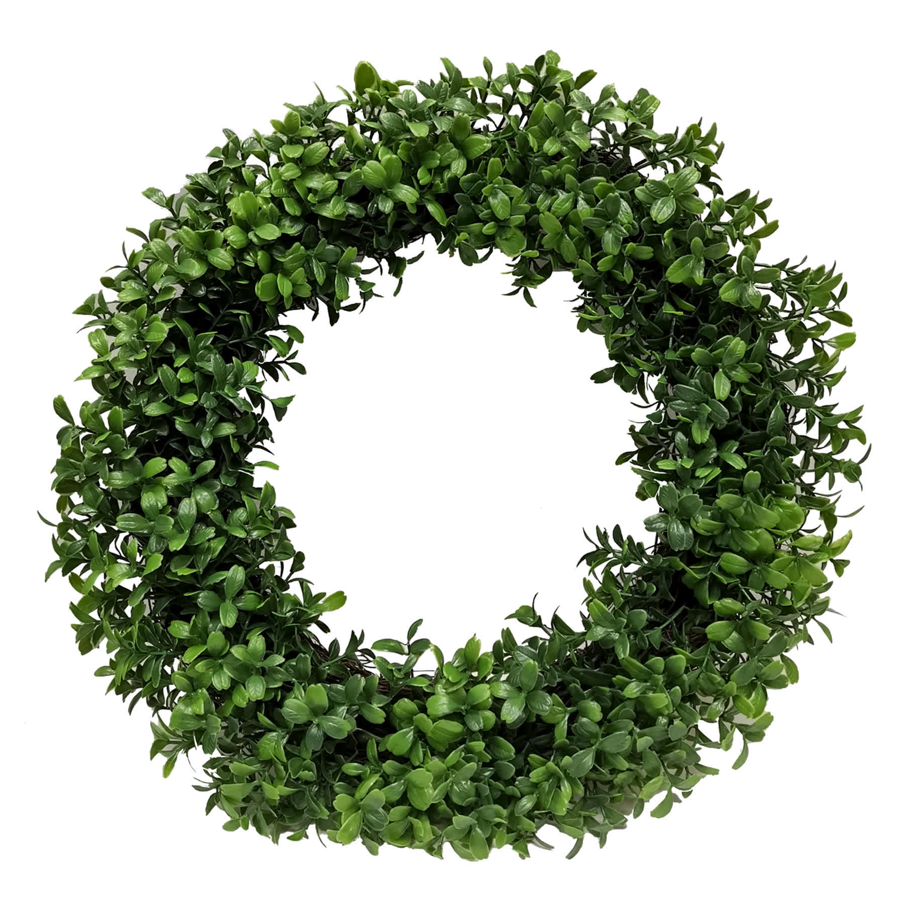Boxwood Wreath, 16"