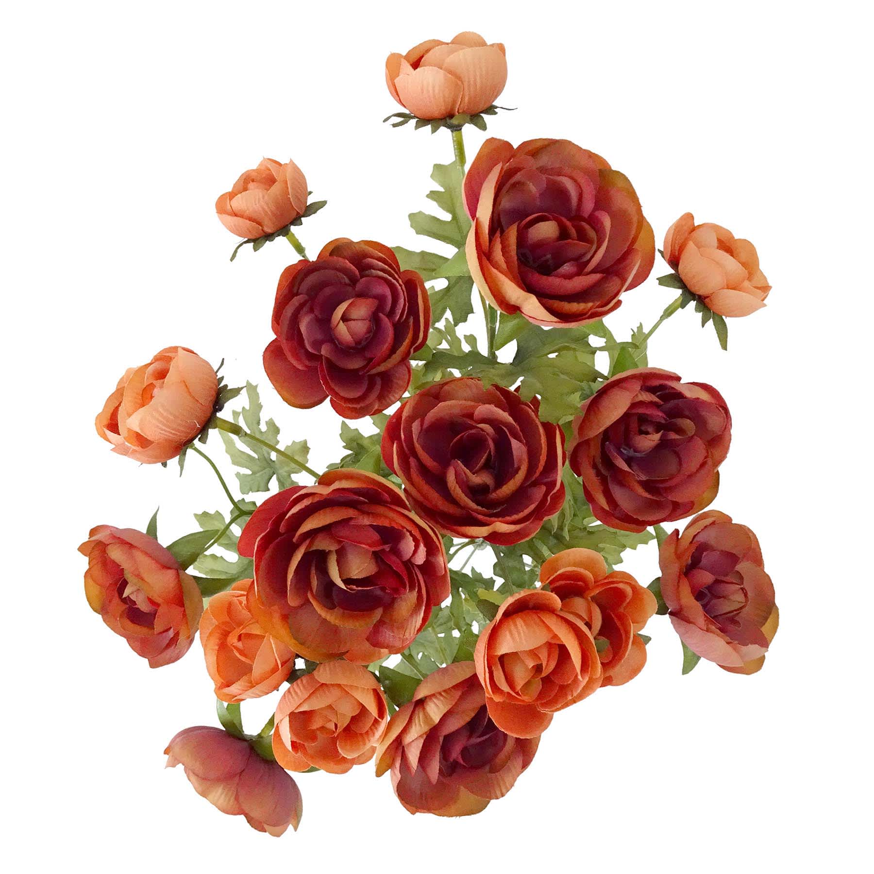 Brown 18-Head Ranunculus Bush, 18"