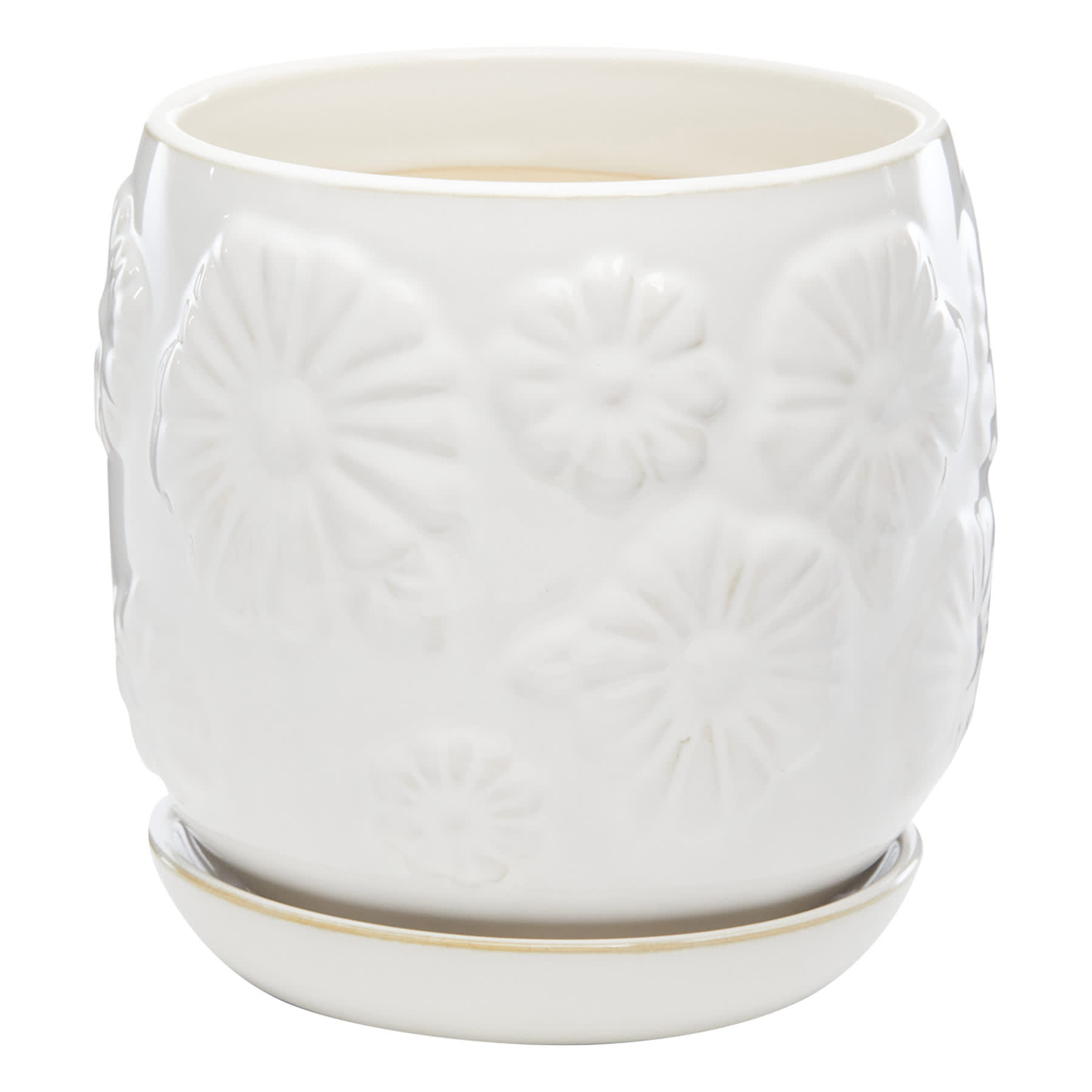 Indoor White Daisy Pot, Medium