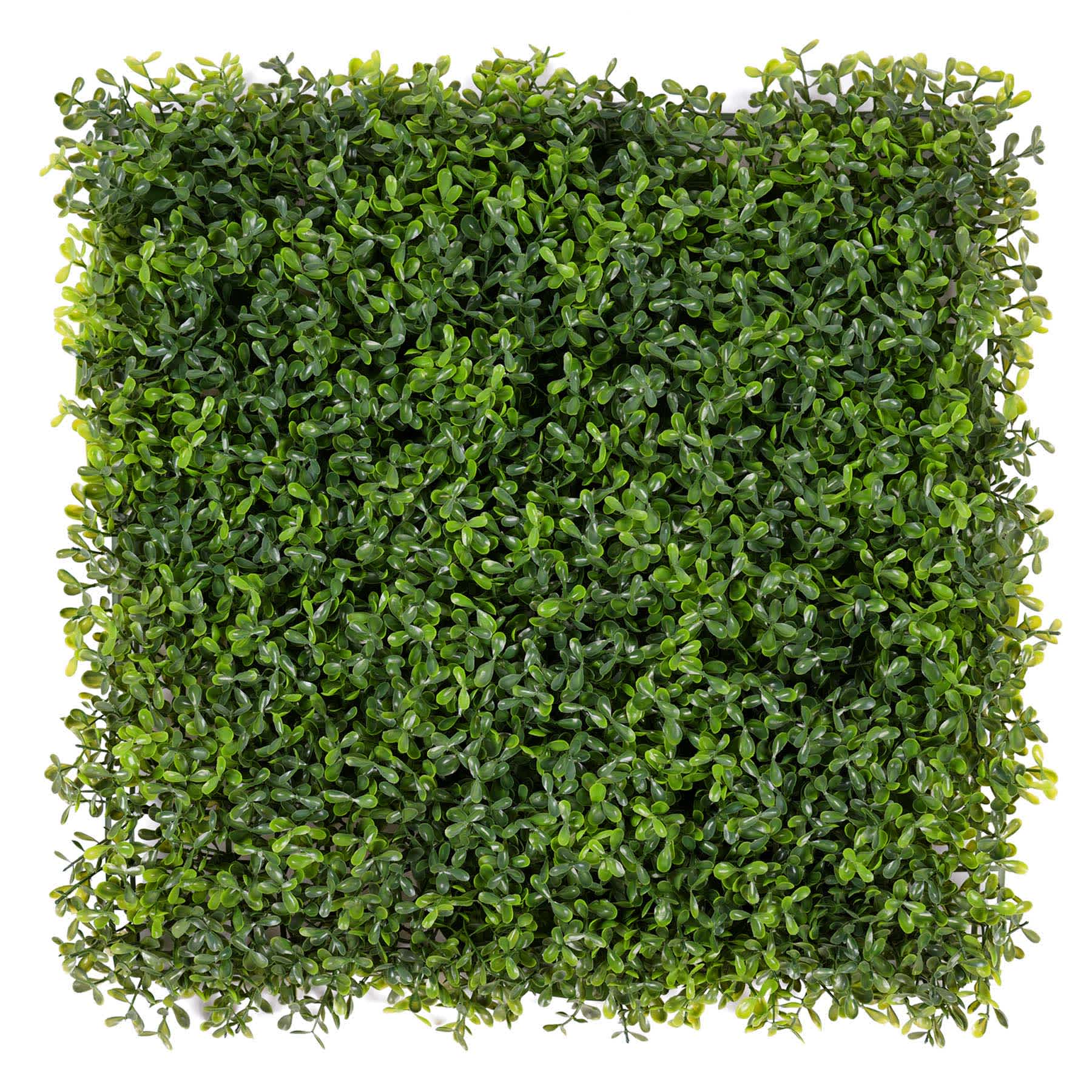 Boxwood Mat, 20"