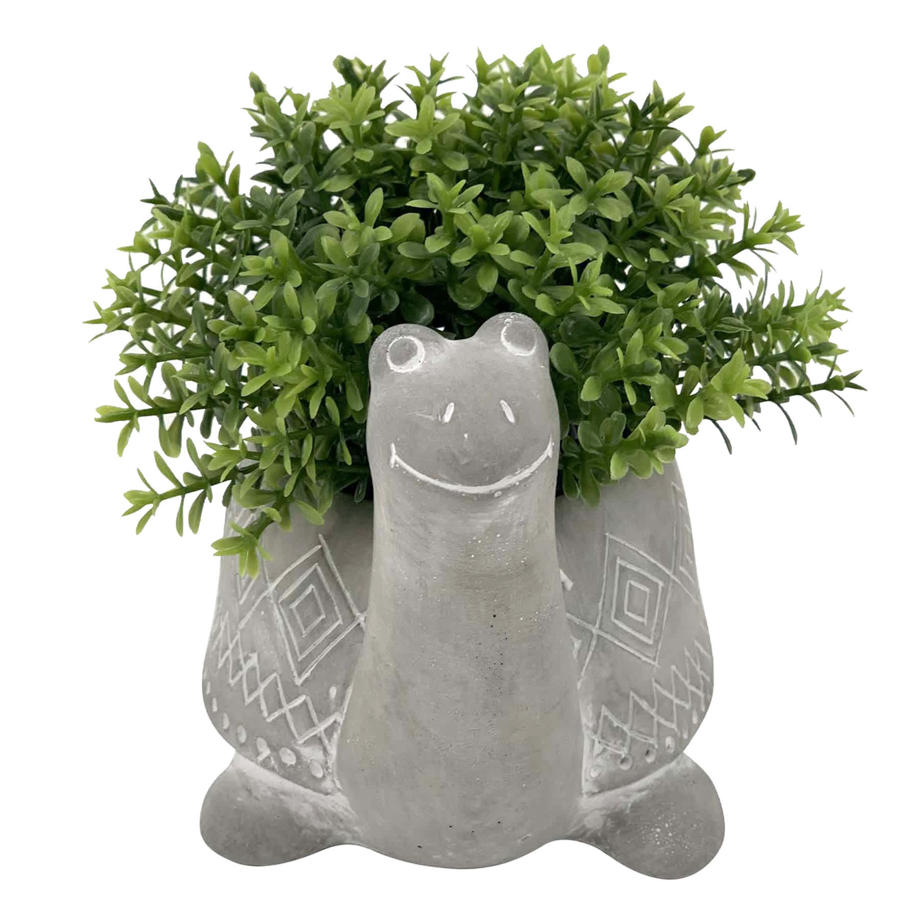 Greenery in Snail Pot, 4"