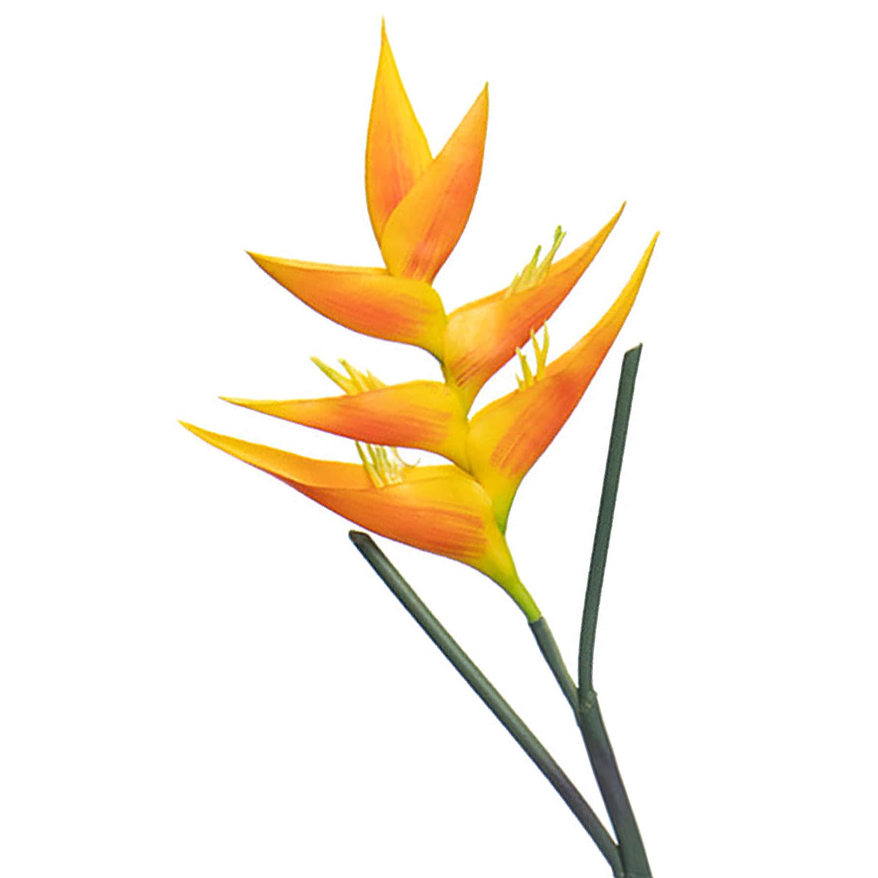 Orange Helicopia Stem, 34"