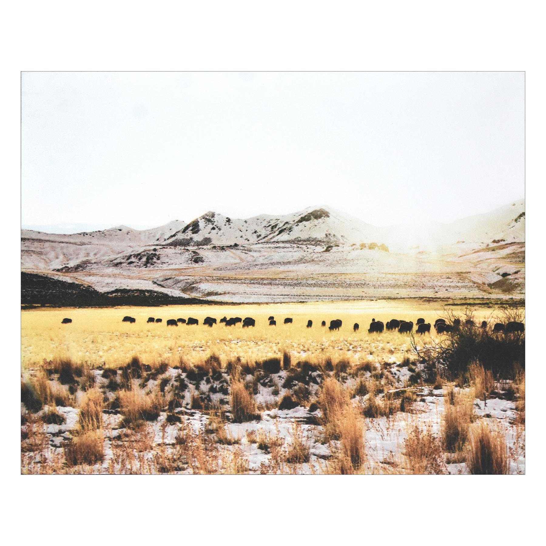 Pasture Block, 8x10