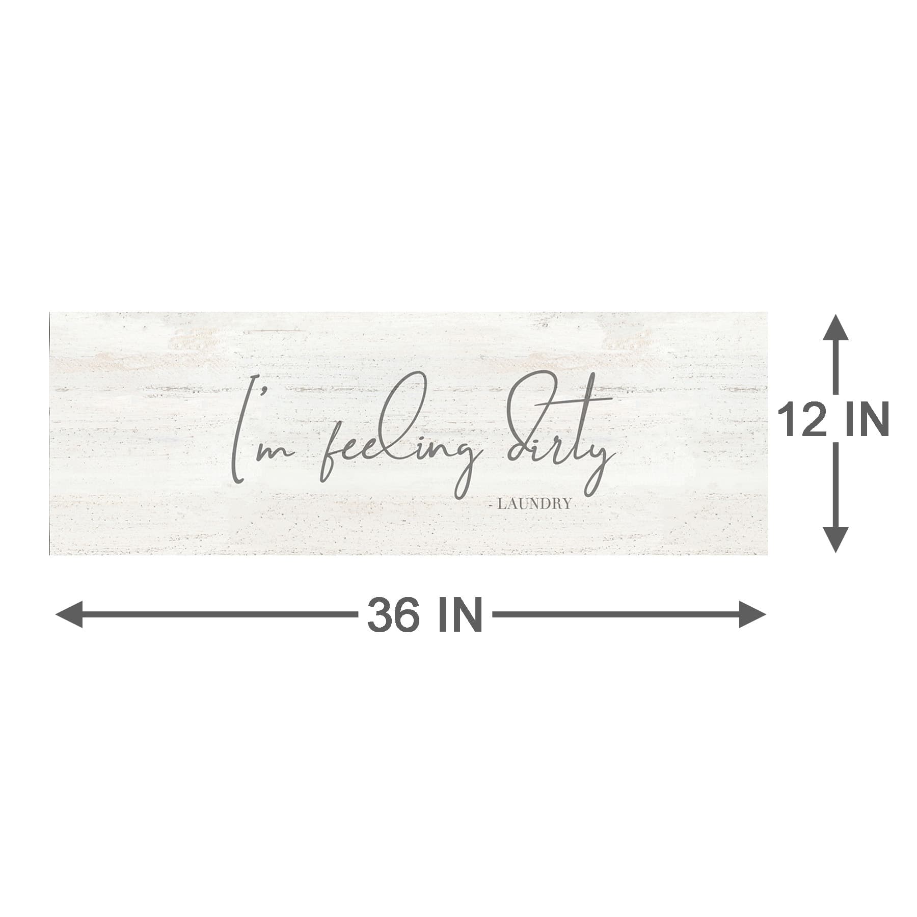 I'm Feeling Dirty Laundry Room Panel Canvas Wall Art, 36x12