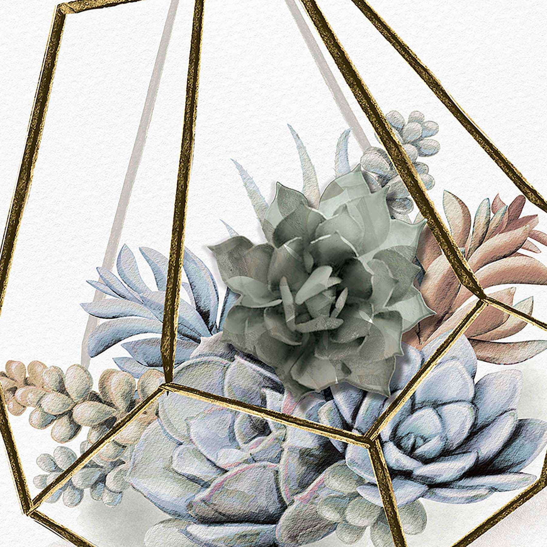 Glass Framed Succulent Print Wall Art, 10"