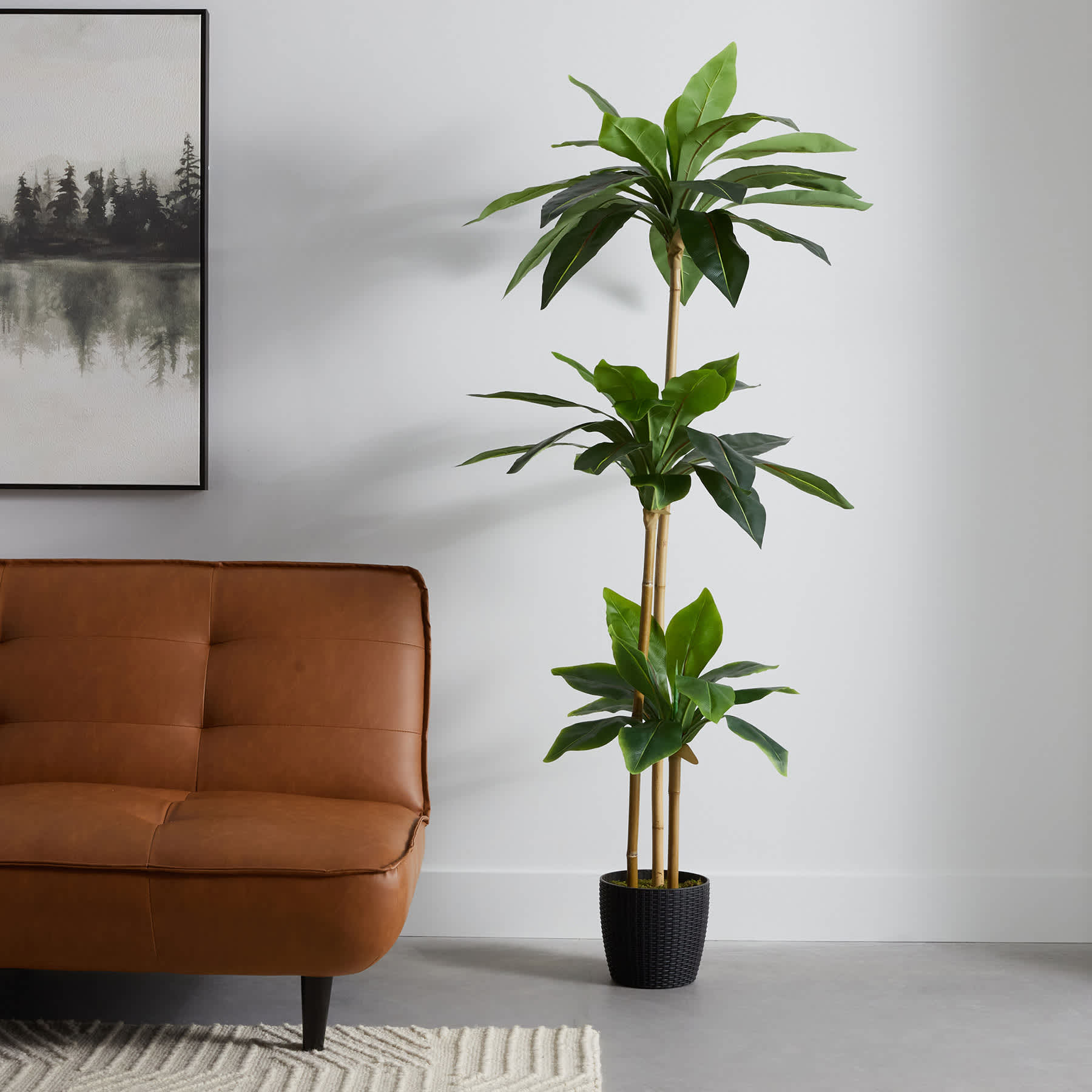 3-Head Potted Bird's Nest Tree, 5.5'