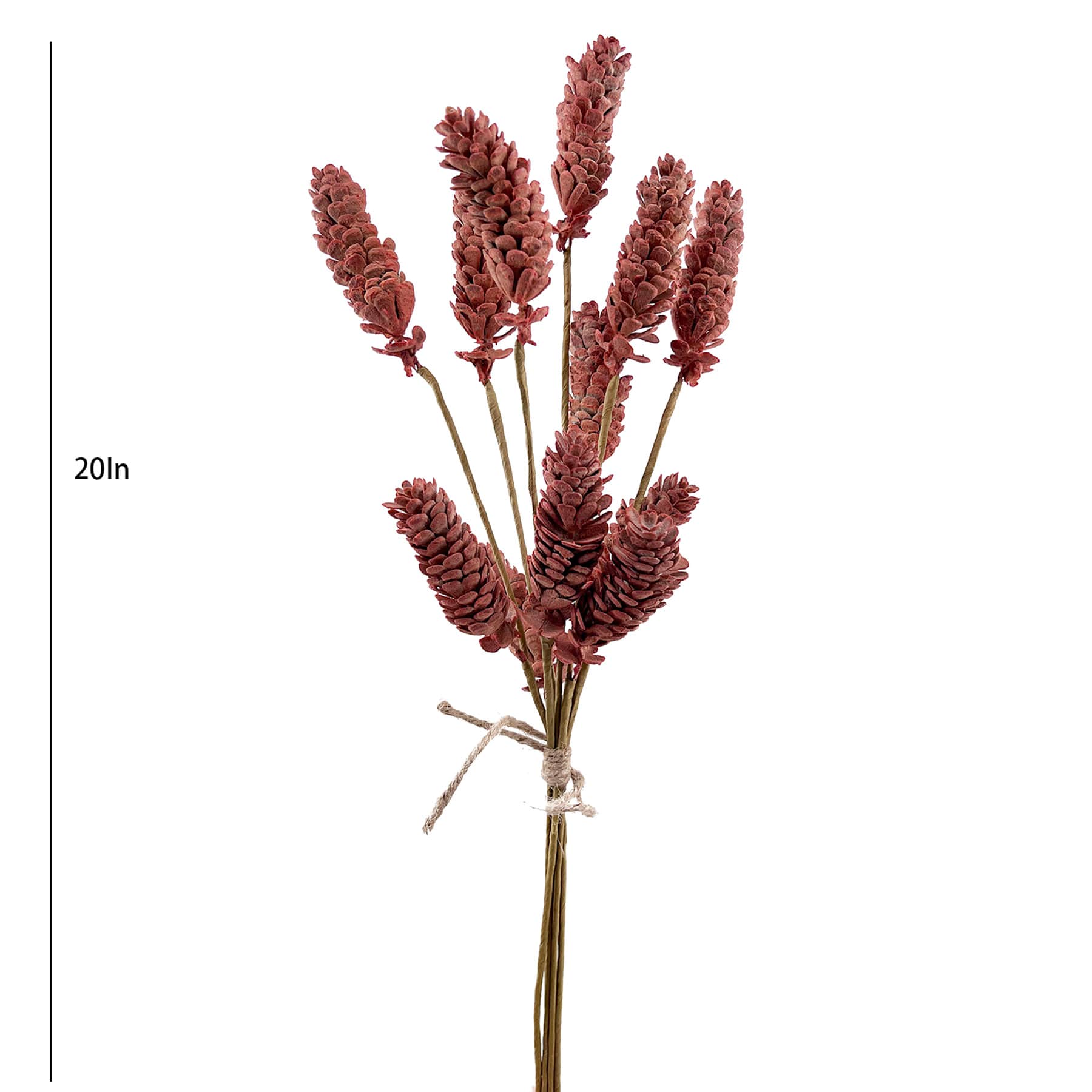 Orange Pinecone Bush, 20"