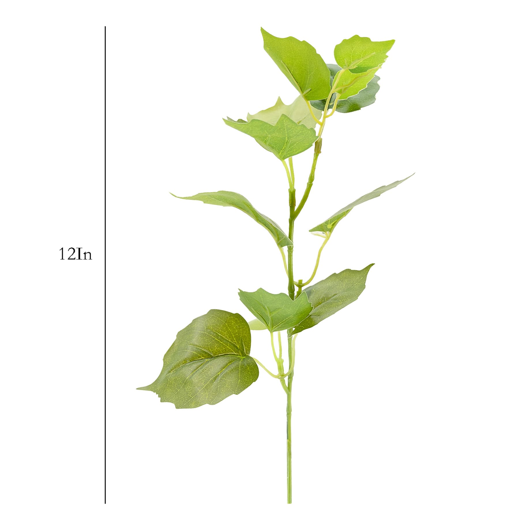 Tomentosum Geranium Pick, 12"