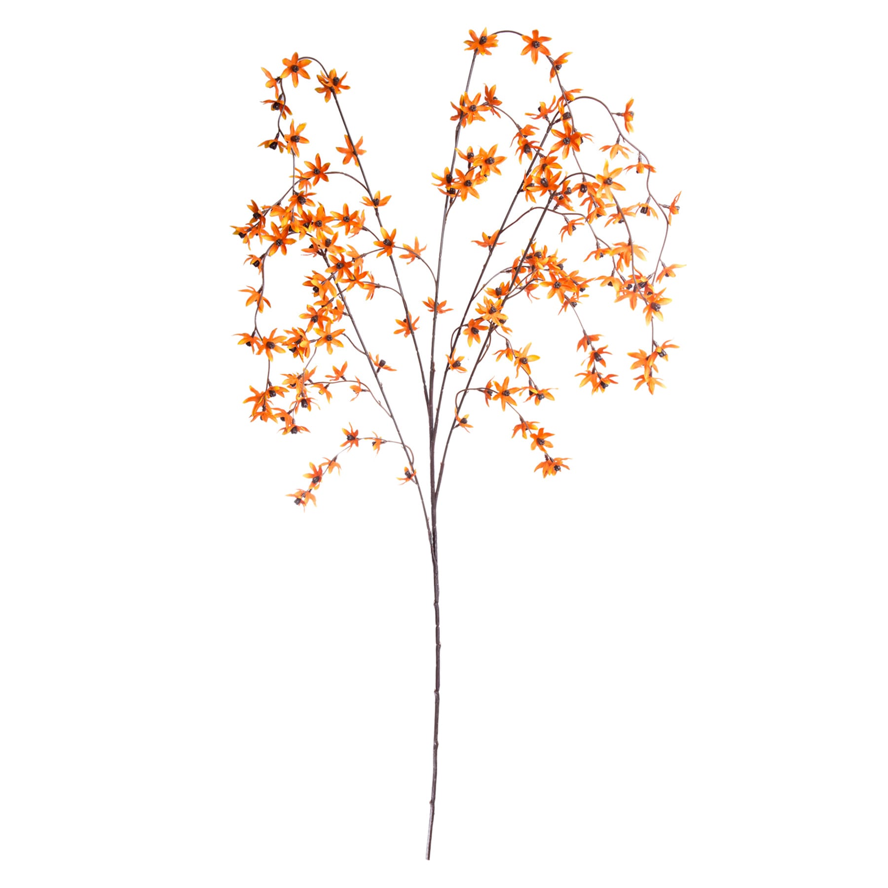 Orange Star Flower Branch, 47"