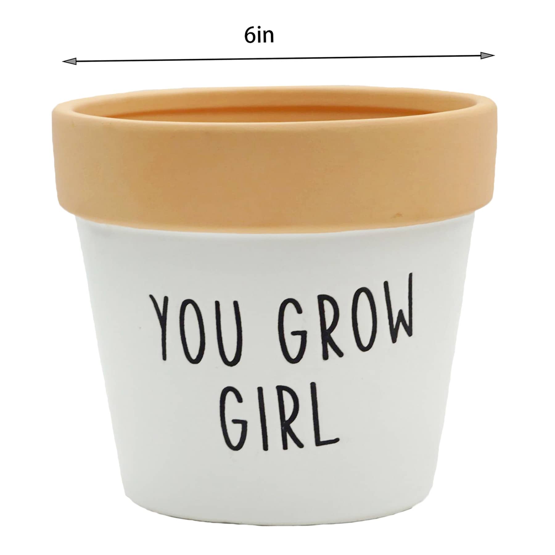 Indoor Crazy Plant Lady Ceramic Planter, 5"