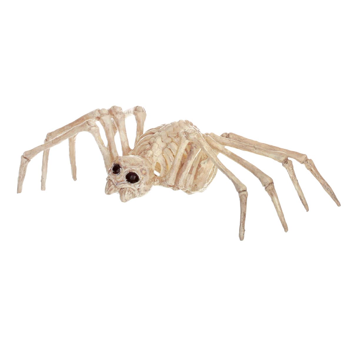 Halloween Mini Spider Skeleton