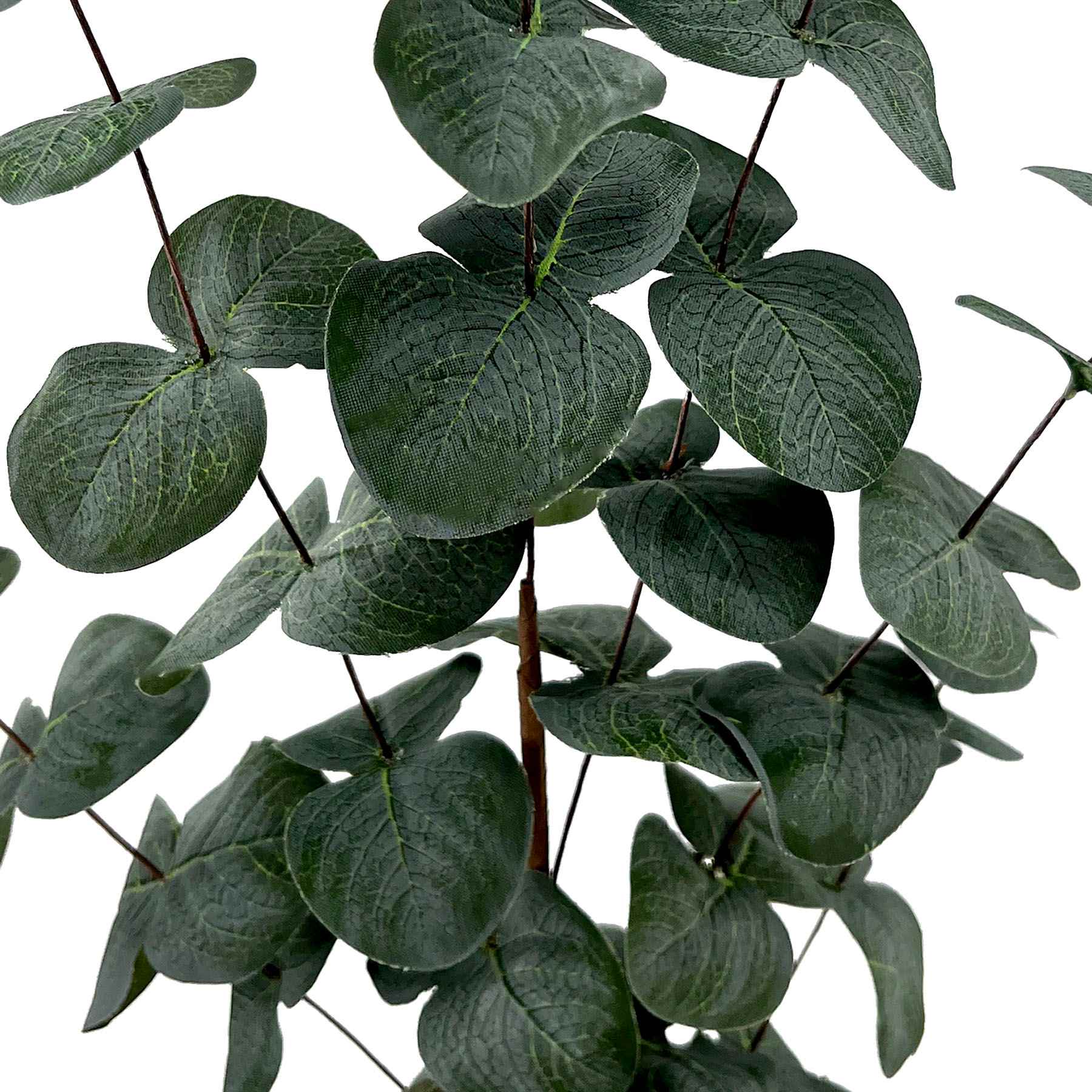 Eucalyptus Spray, 30.5"