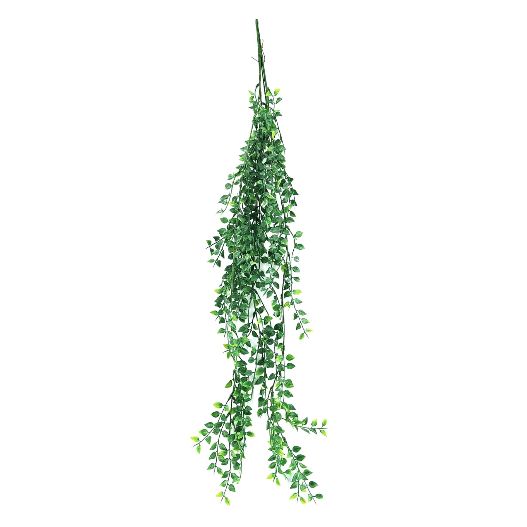 Tea Leaf Hanging Bush, 35"