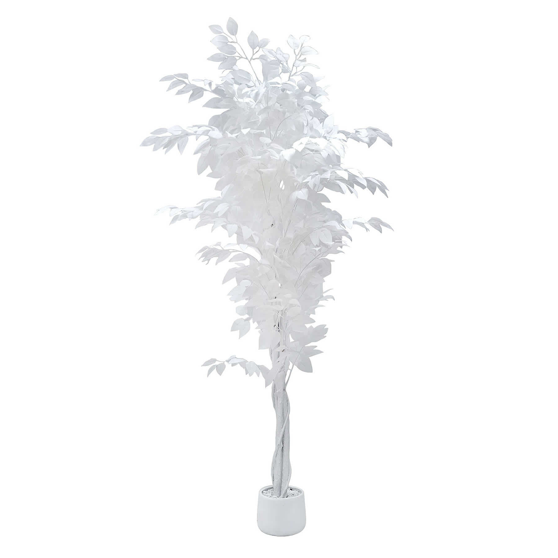 Potted White Fiscus Tree, 6'