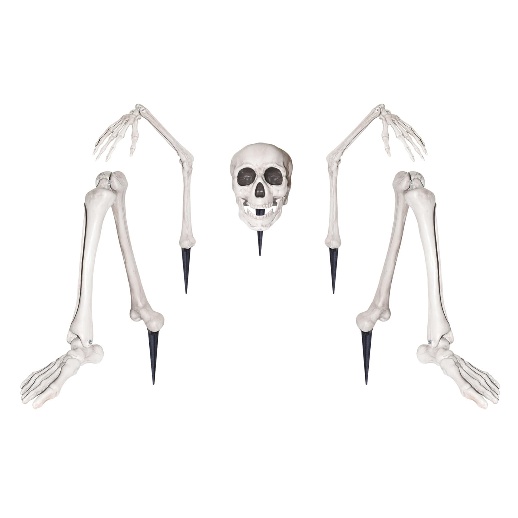 Life Size Ground Breaking Skeleton