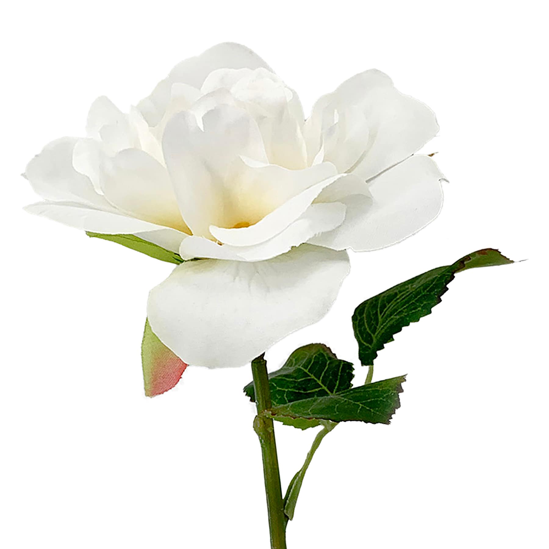 Willow Crossley White Rose Floral Pick, 11"