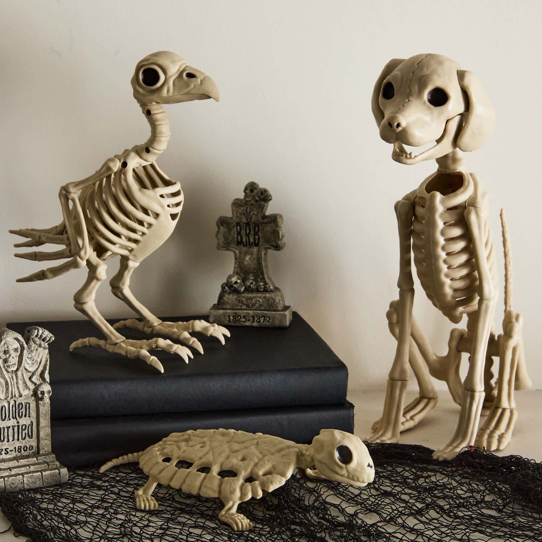 Skeleton Sitting Dog