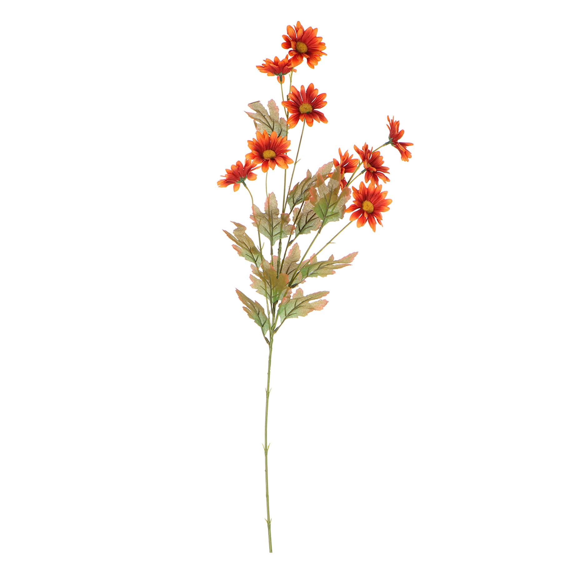 Daisy Pick, 31.5"