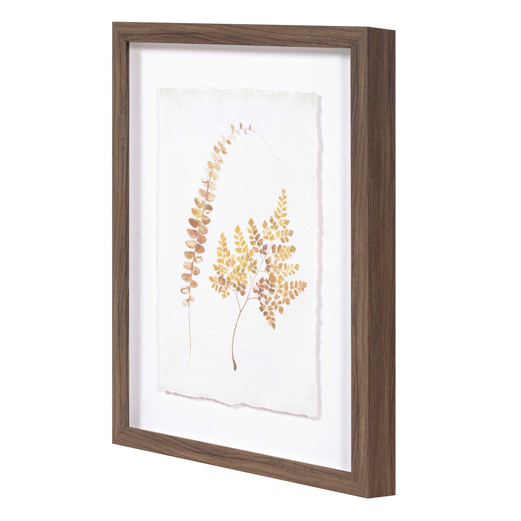 Honeybloom Glass Framed Leaf Print Wall Art, 11x14