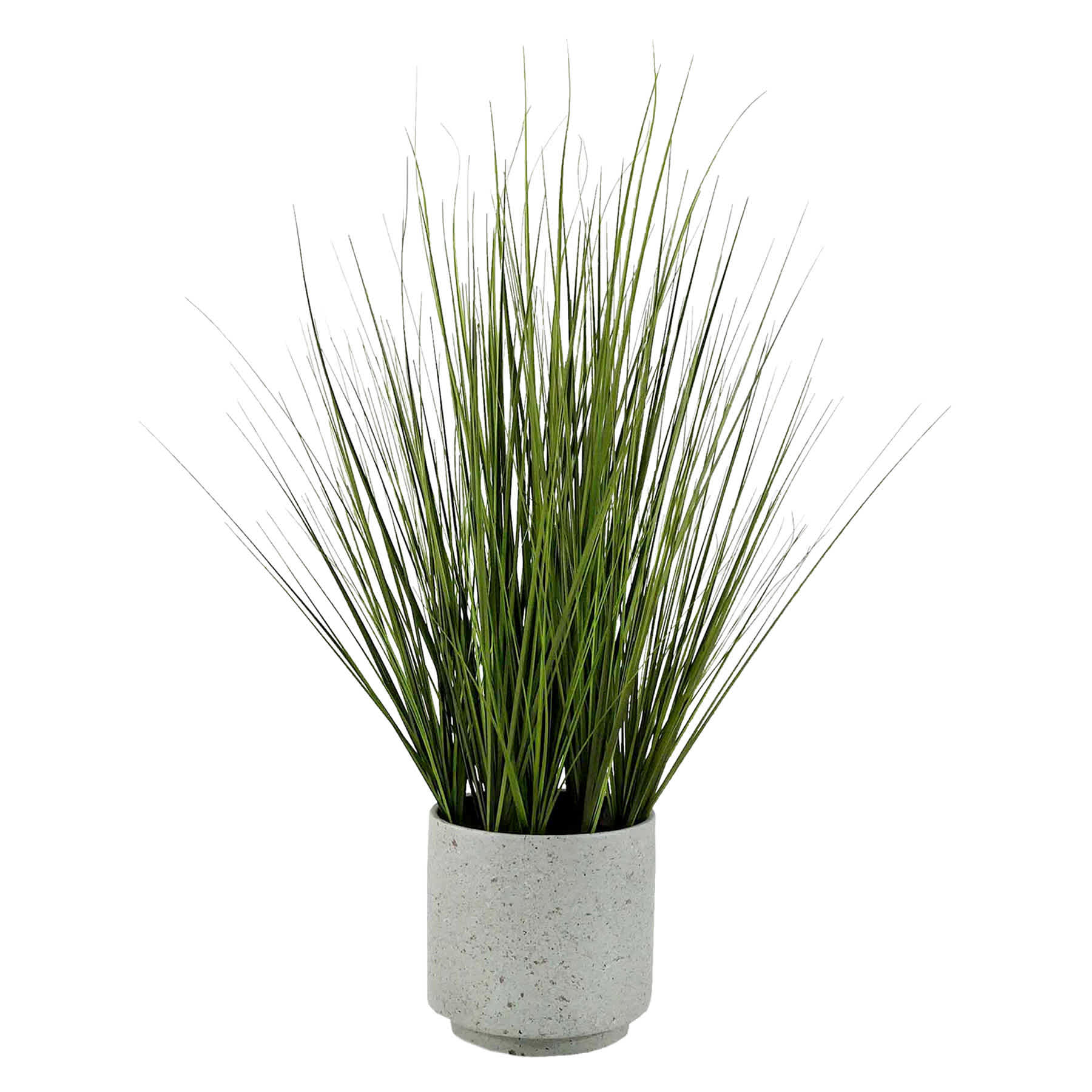 Onion Grass in Cement Pot, 31"