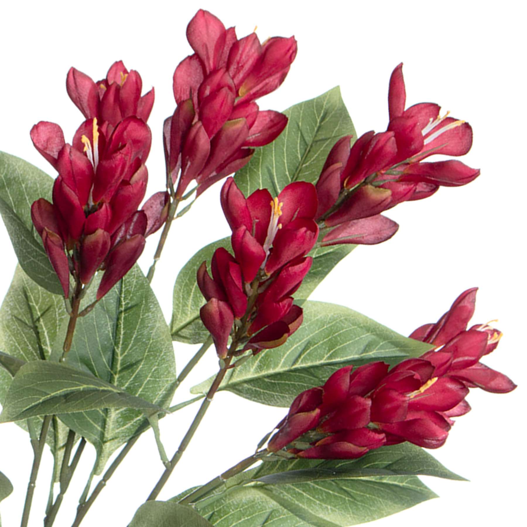 Red Ginger Flower Bush, 22"