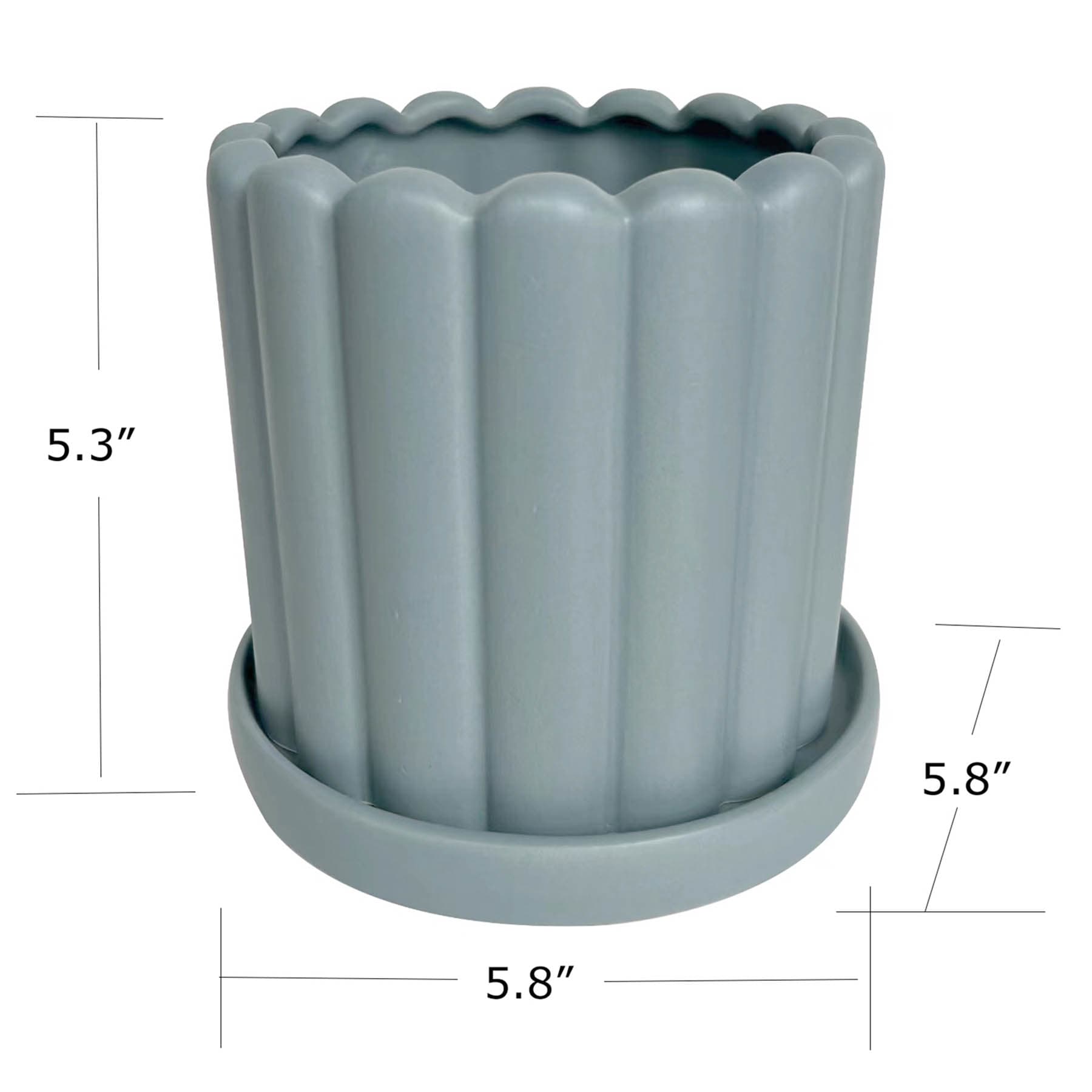 Indoor Blue Scallop Planter, 5"
