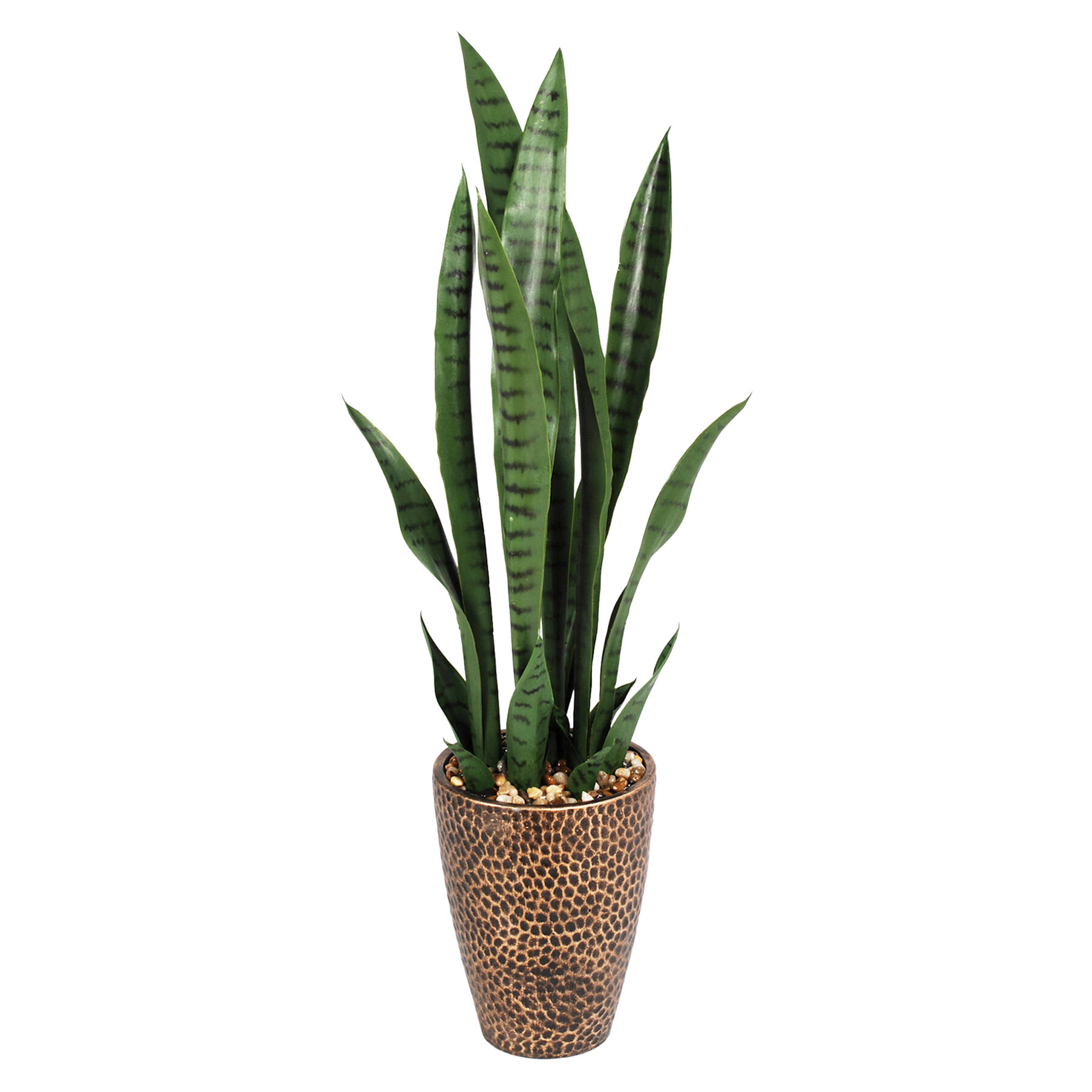 Snake Plant with Metal Planter, 33"