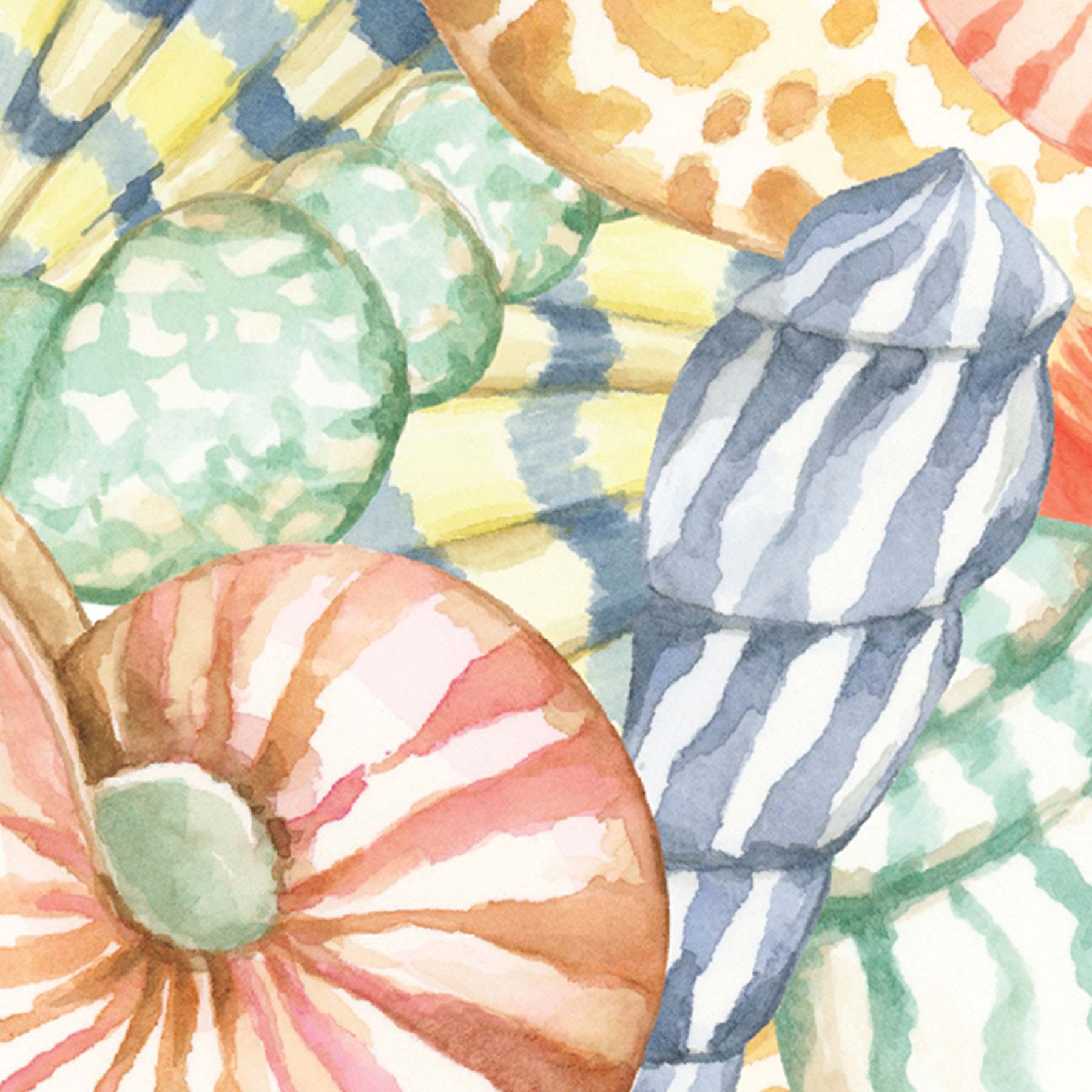 Sea Shells Scented Sachet