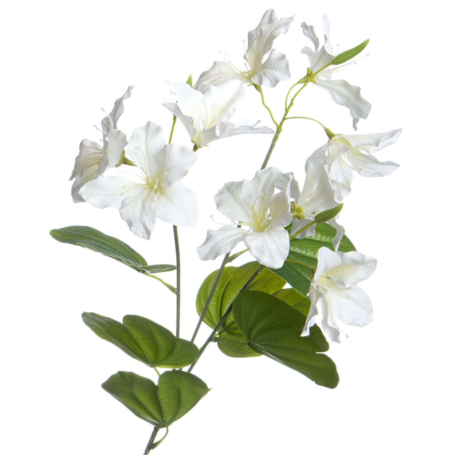 White Bauhunia Spray, 29"