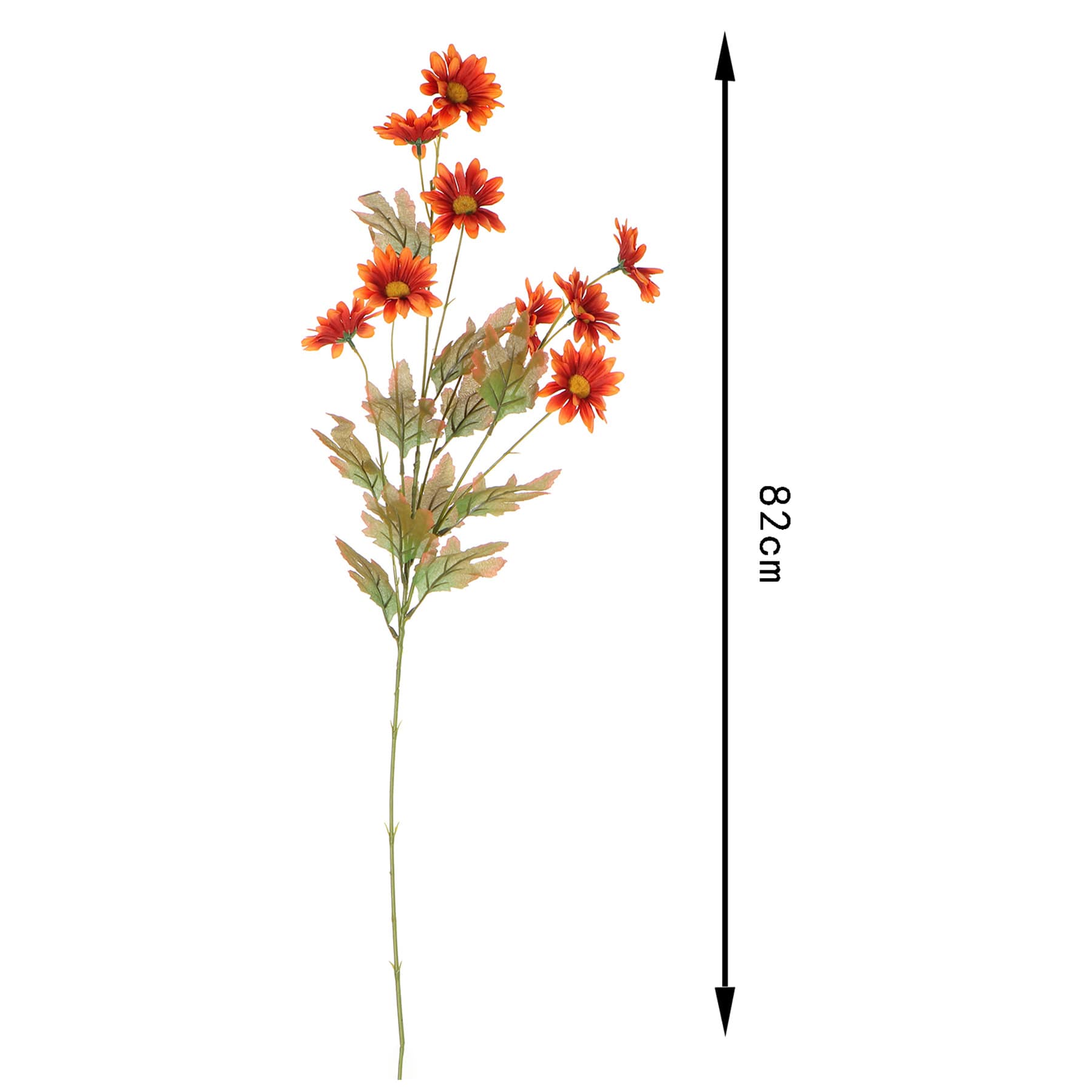 Daisy Pick, 31.5"