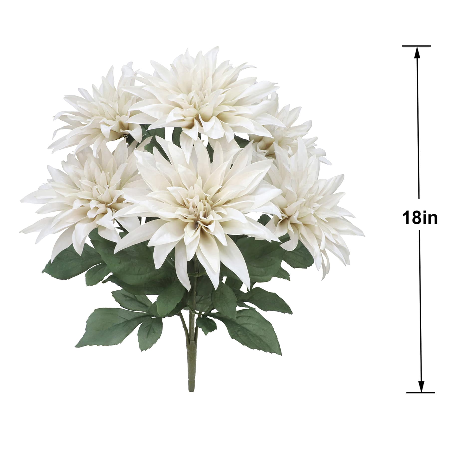 White Dahlia Bush, 18"