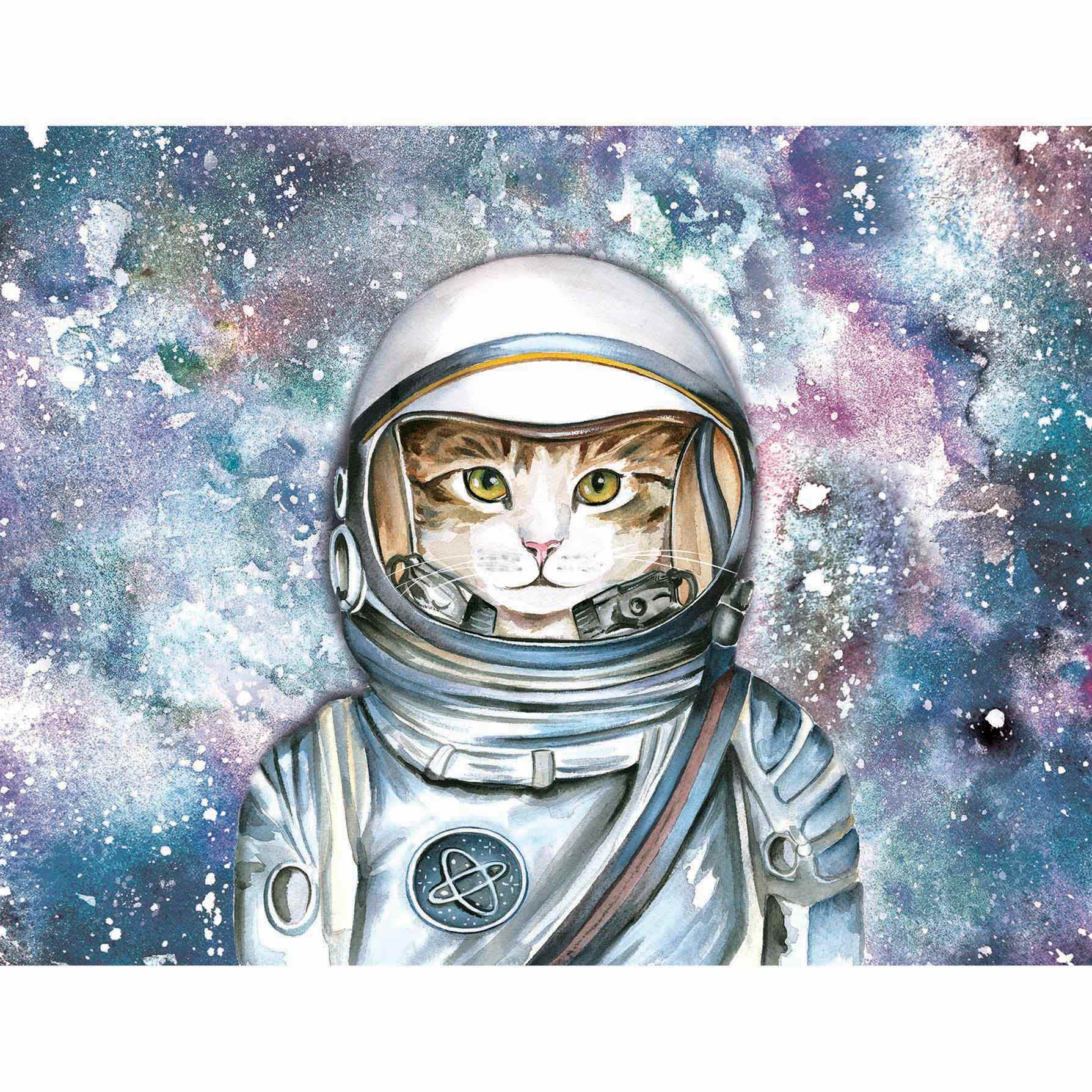 Cat in Space Canvas Wall Art, 12x16