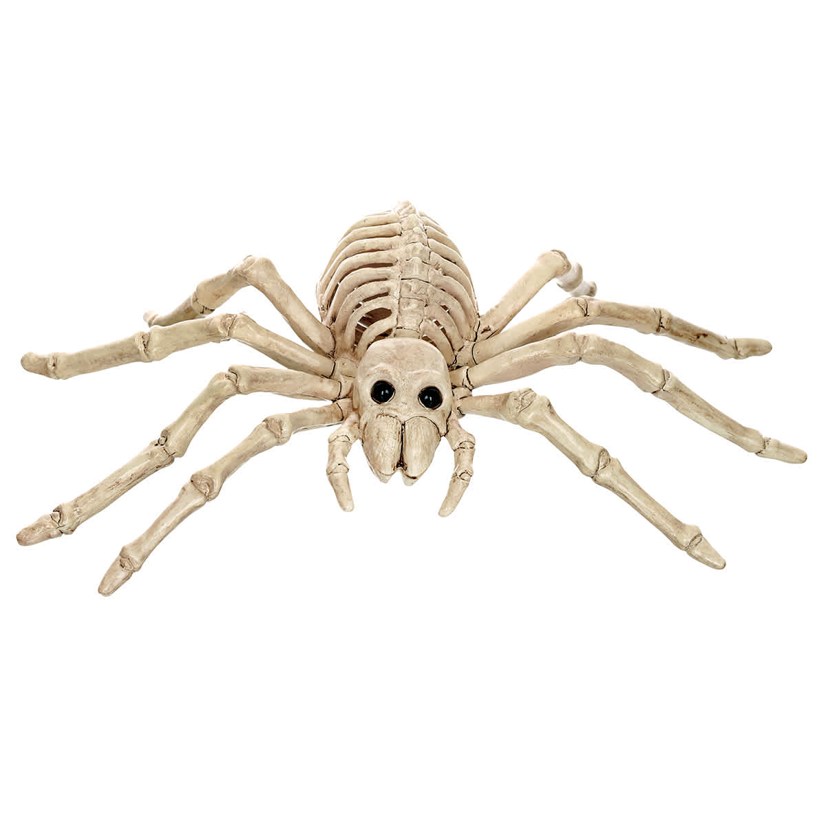 Halloween Spider Skeleton, 9"