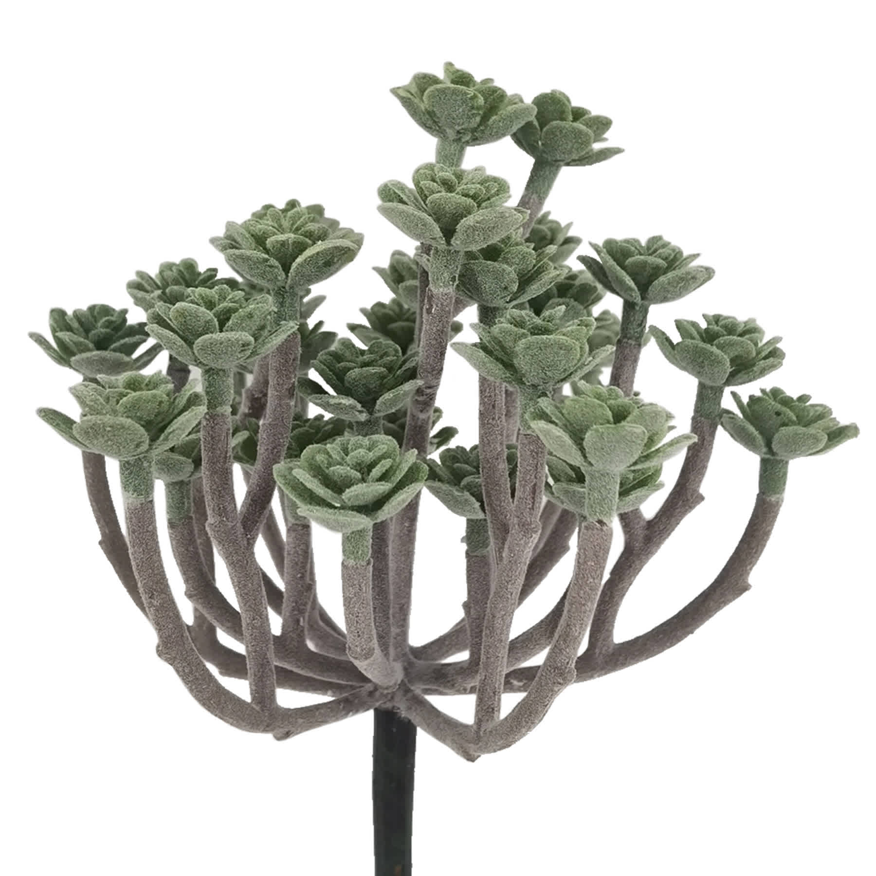 Succulent Pick, 8"