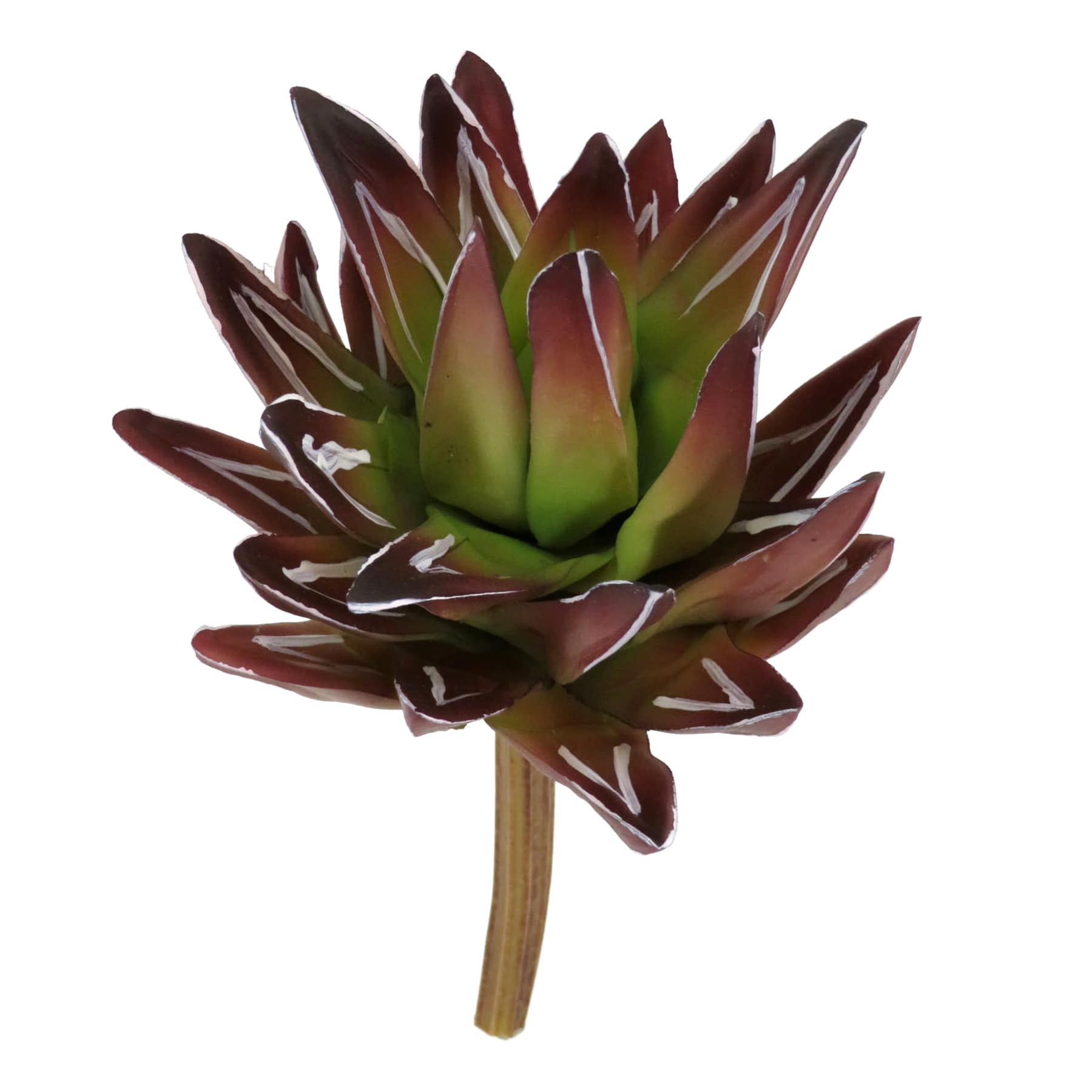 Red Aloe Pick, 8.5"