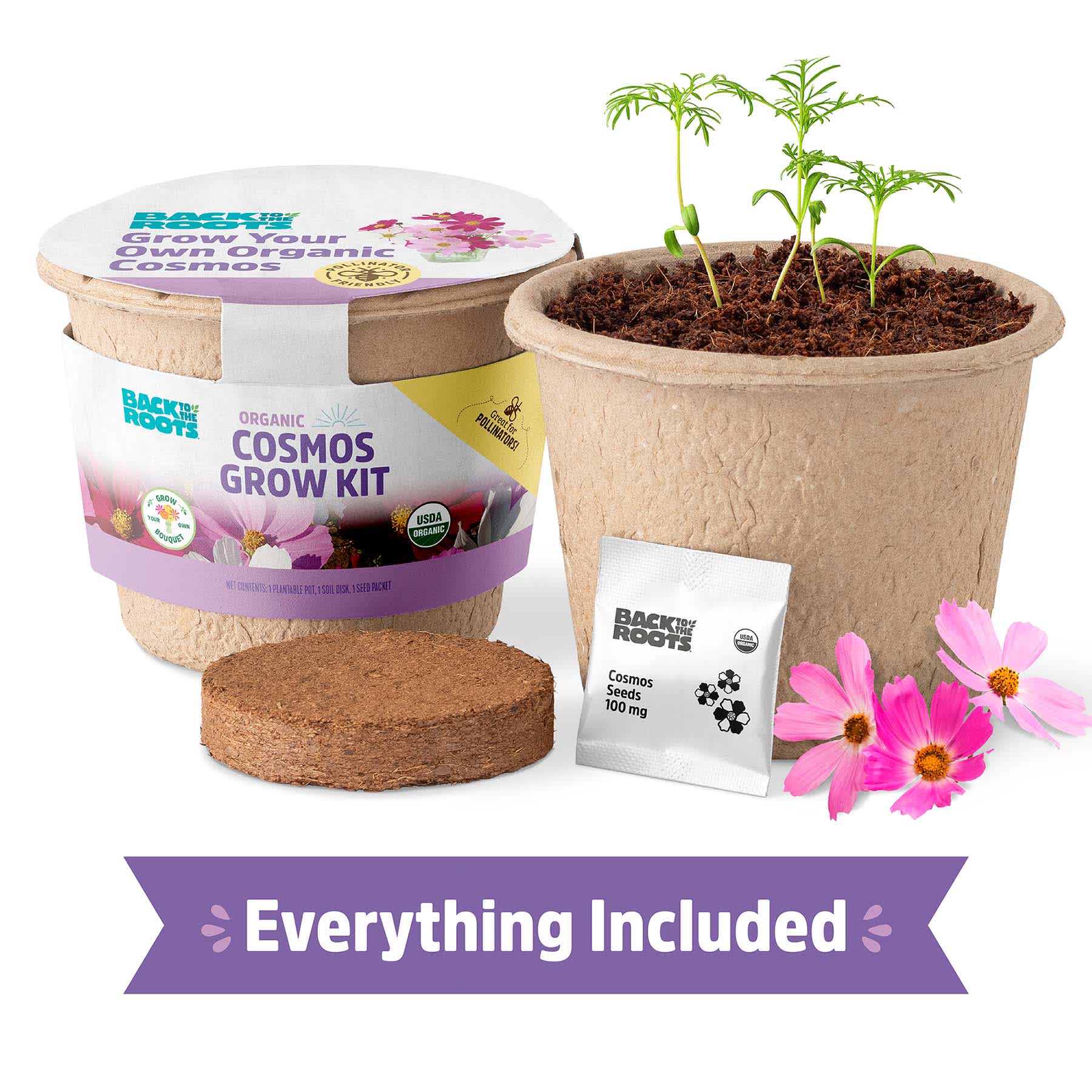 Back to Roots Organic Cosmos Growing Kit
