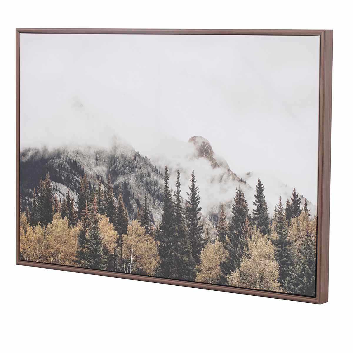 Ty Pennington Framed Snow Mountain Canvas Wall Art, 26x24