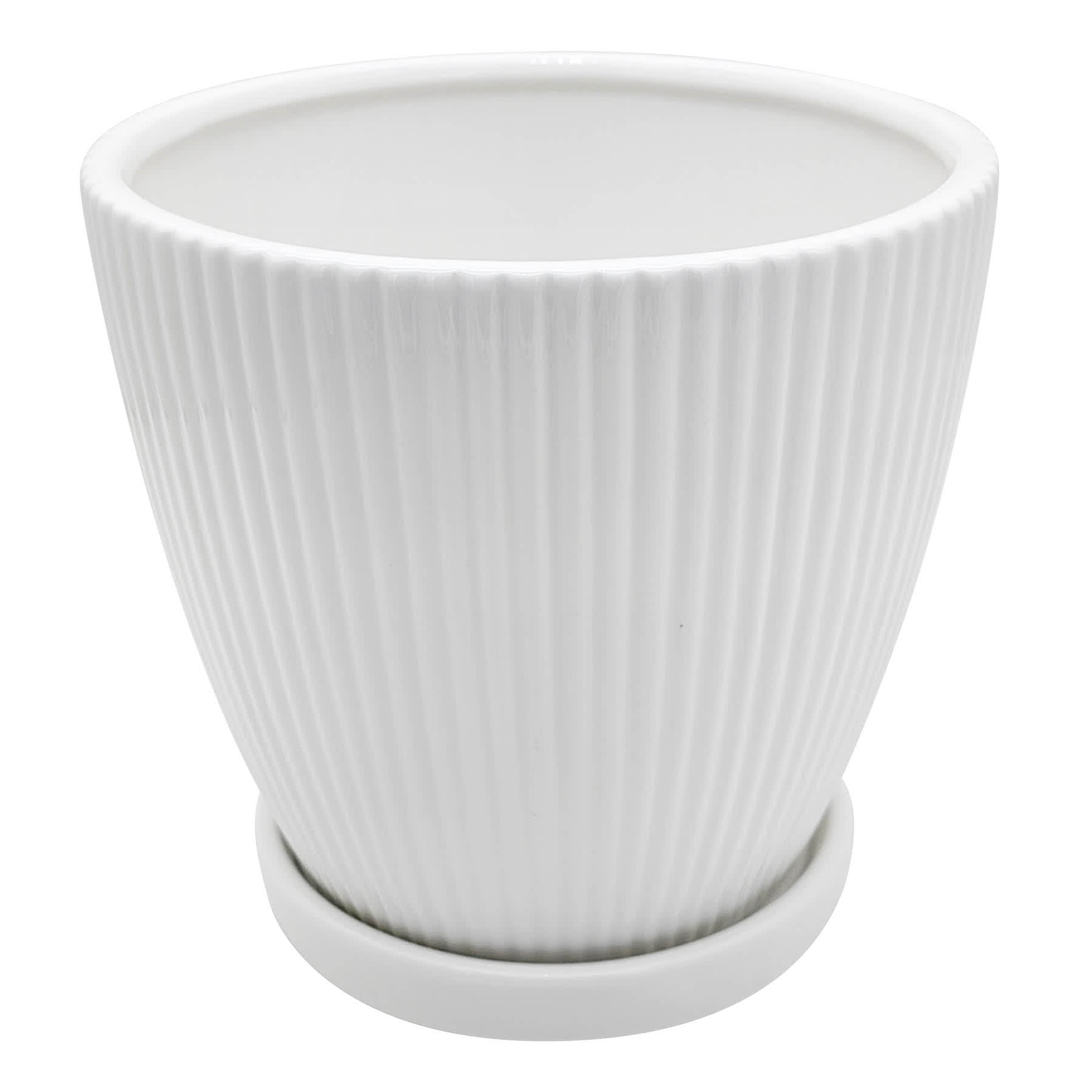 Sunny Club Indoor White Ribbed Planter, 6"