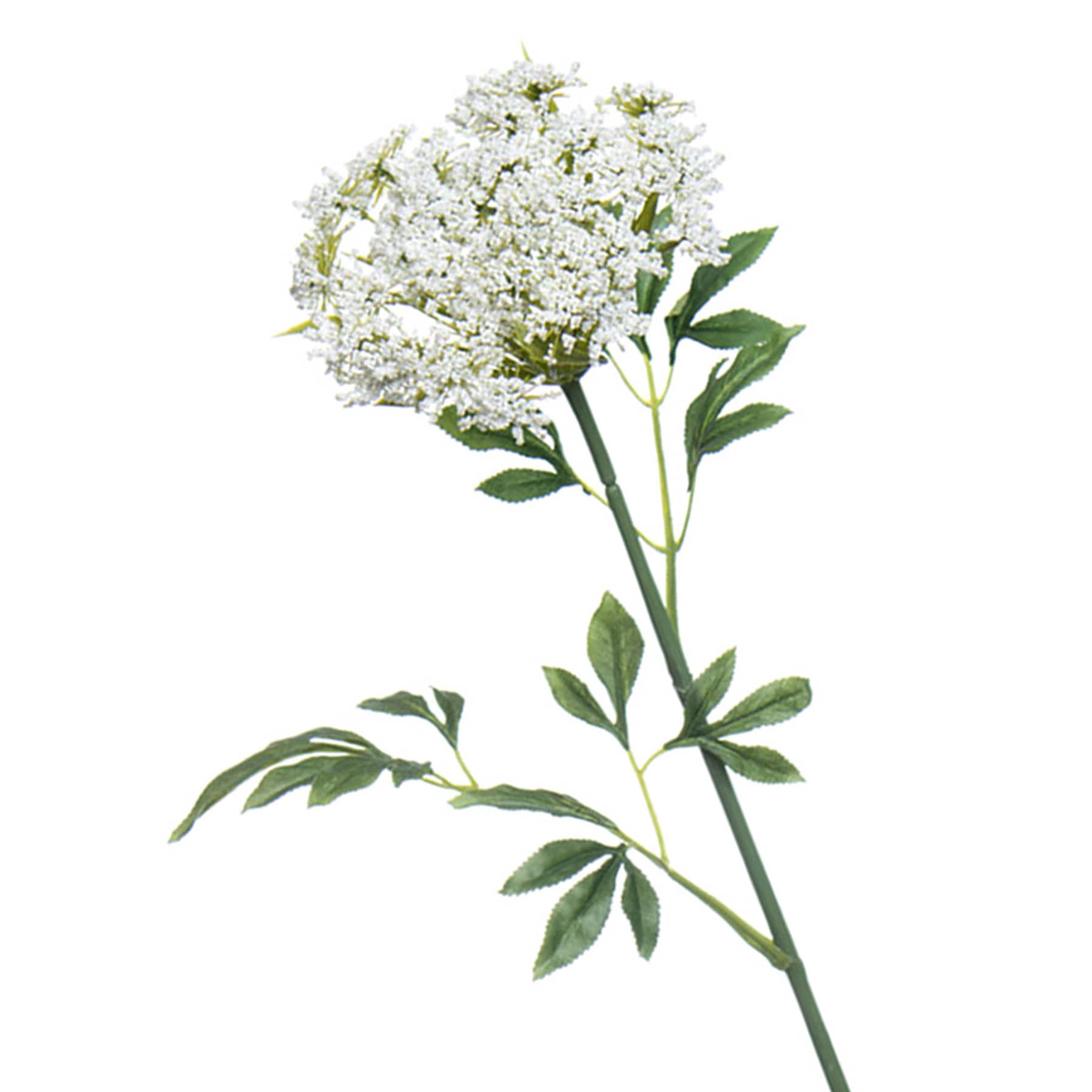Queen Ann's Lace Stem, 31"