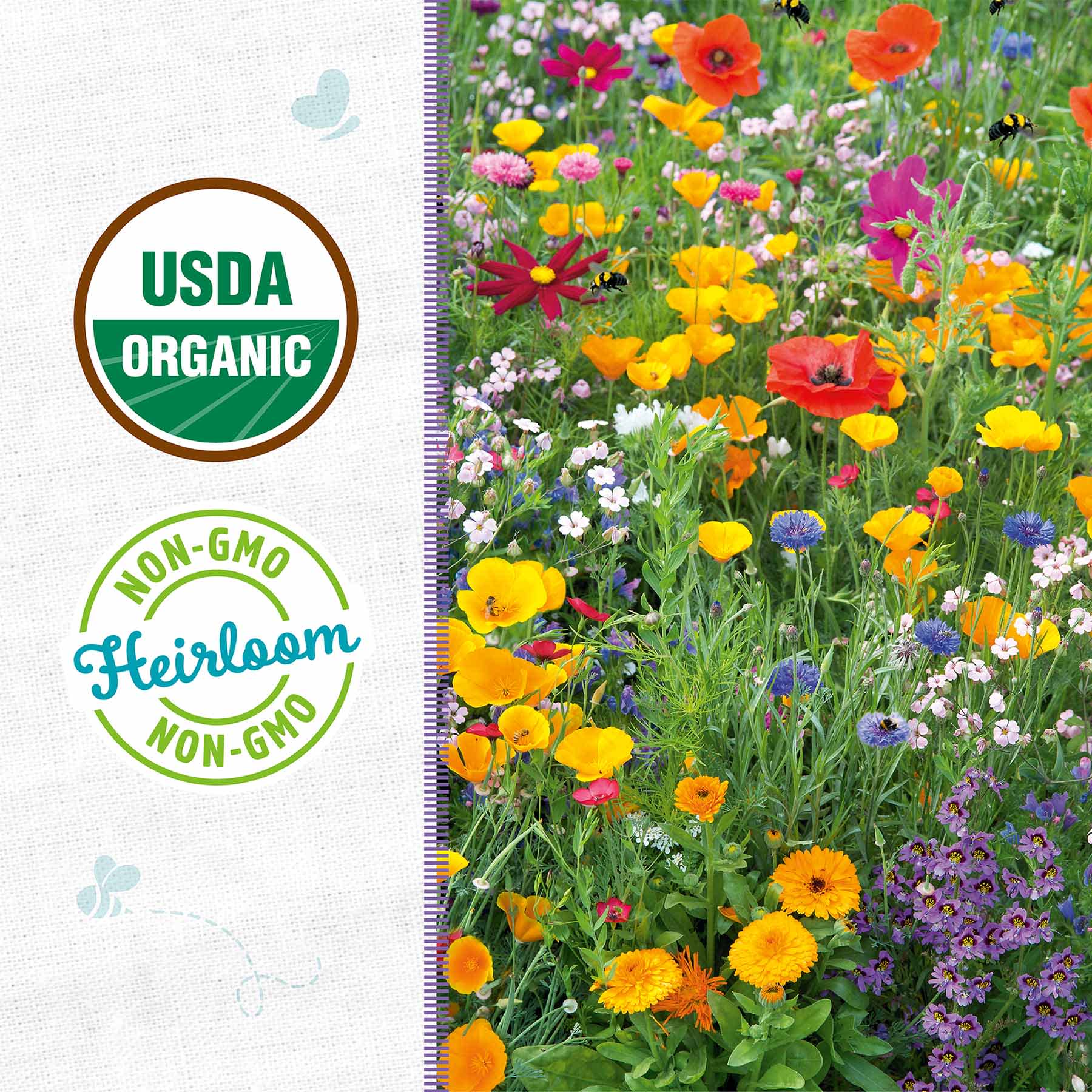 Back to Roots Heirloom Seeds, Wildflower Mix