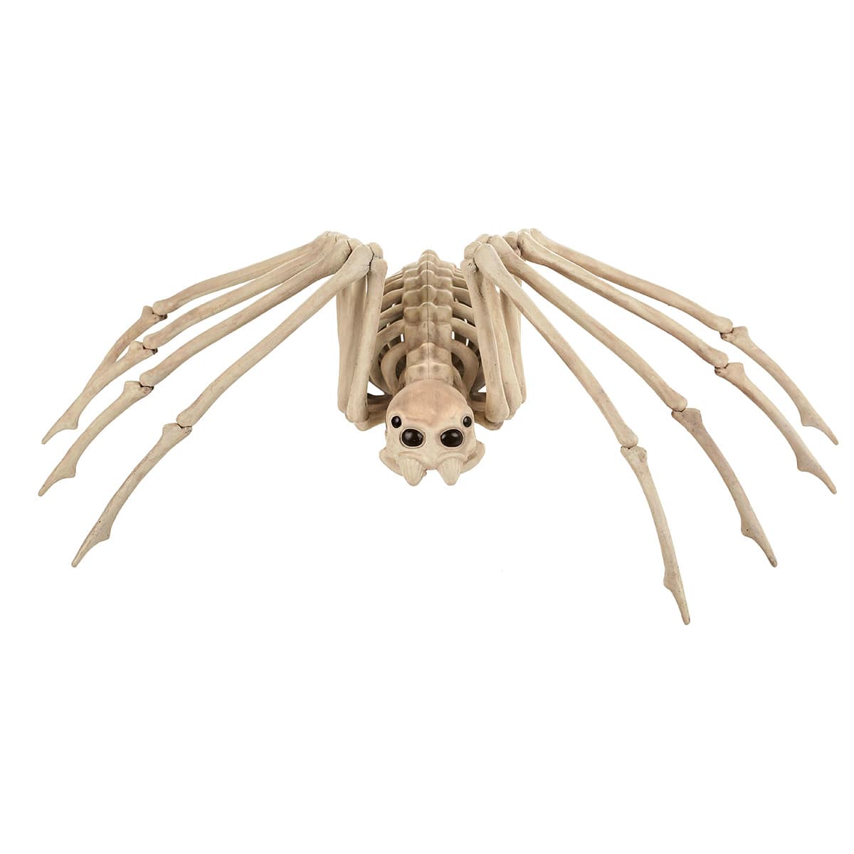 Halloween Spider Skeleton, Medium