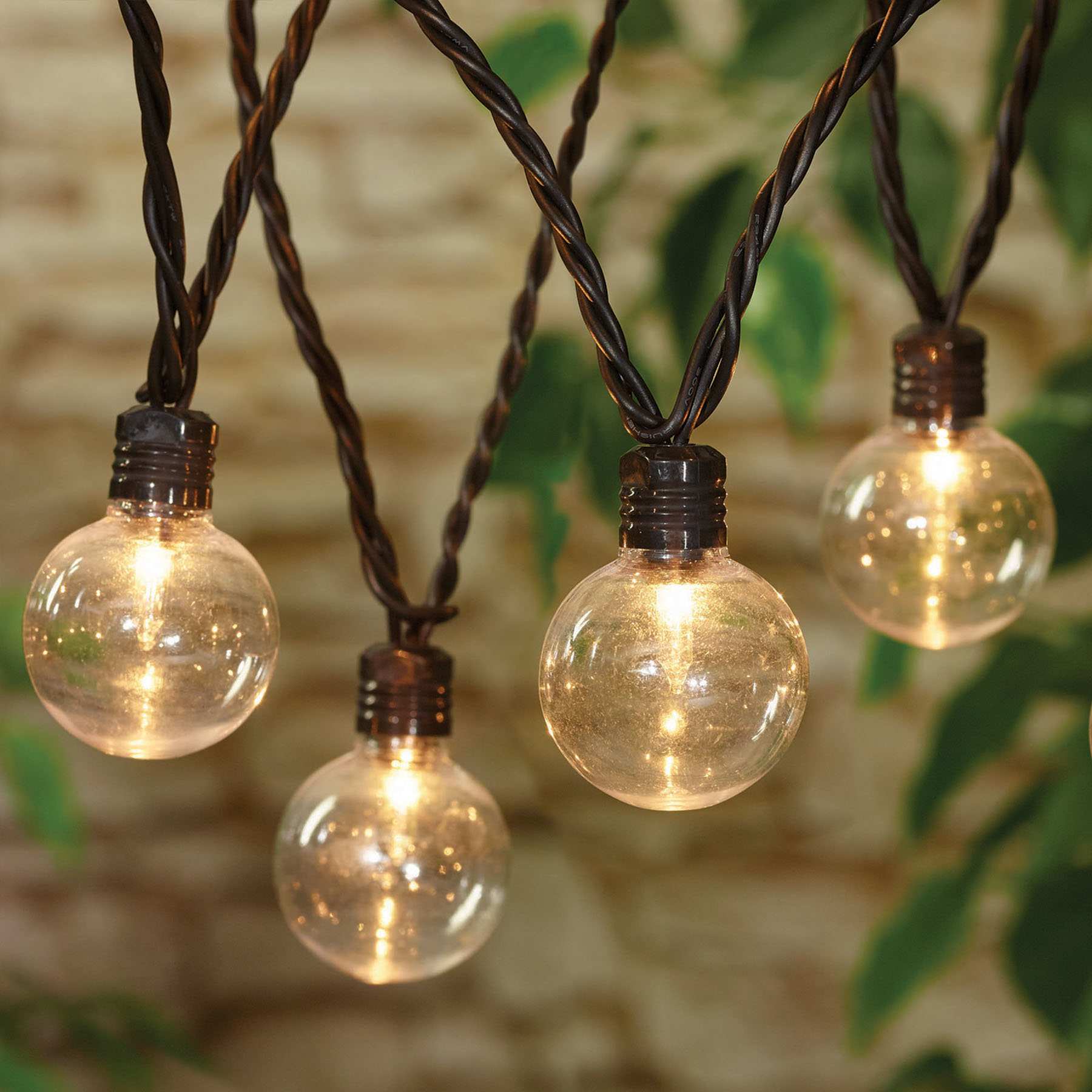 40-Count G40 Clear Globe String Lights with Black Wire