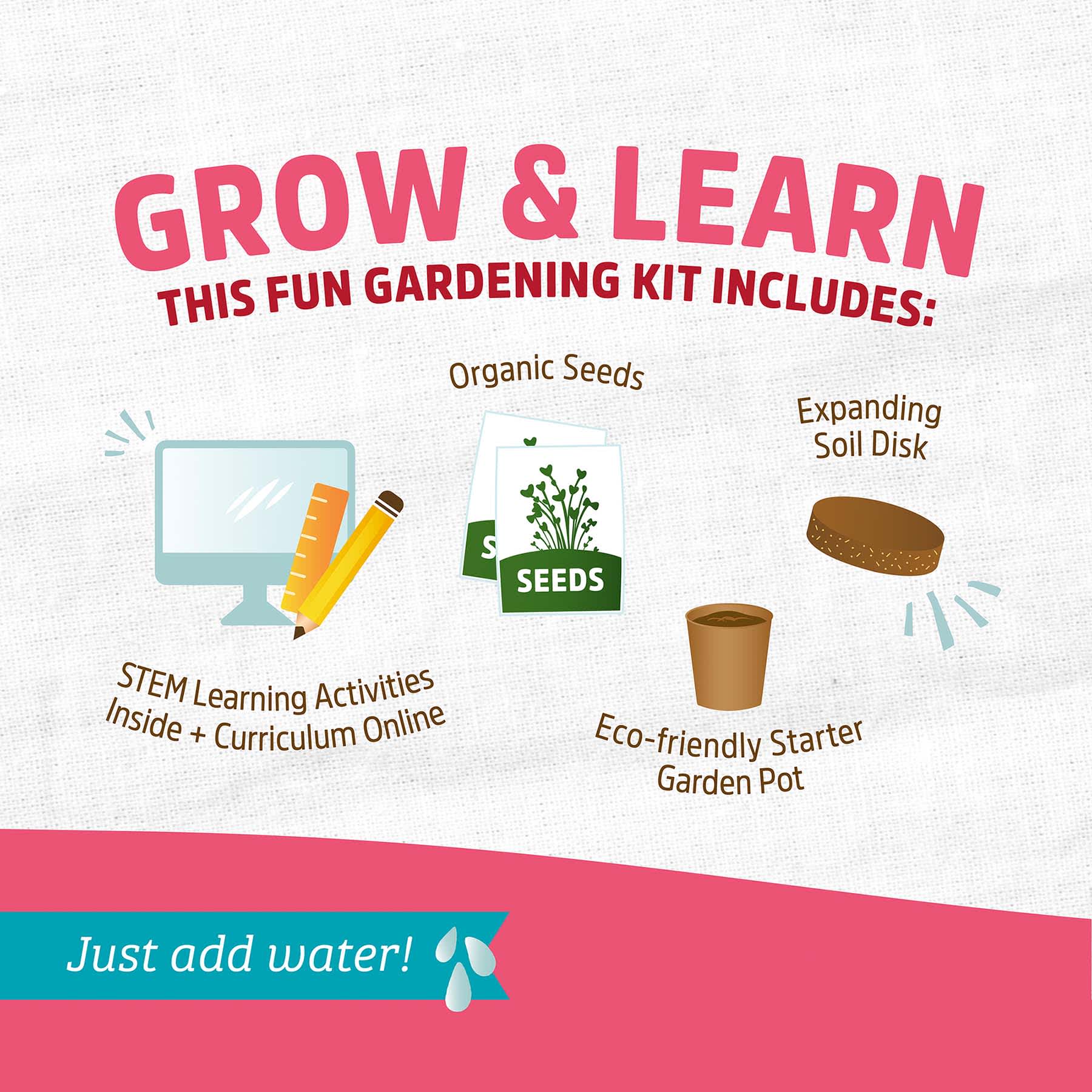 Back to Roots Kids Grow Kit, Strawberry