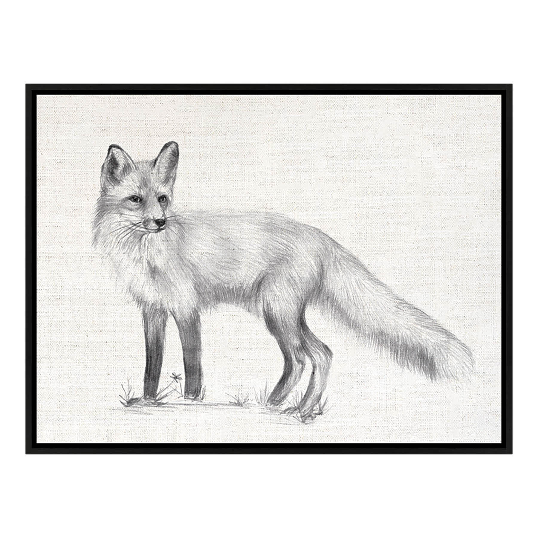 Ty Pennington Framed Fox Canvas Wall Art, 17x13