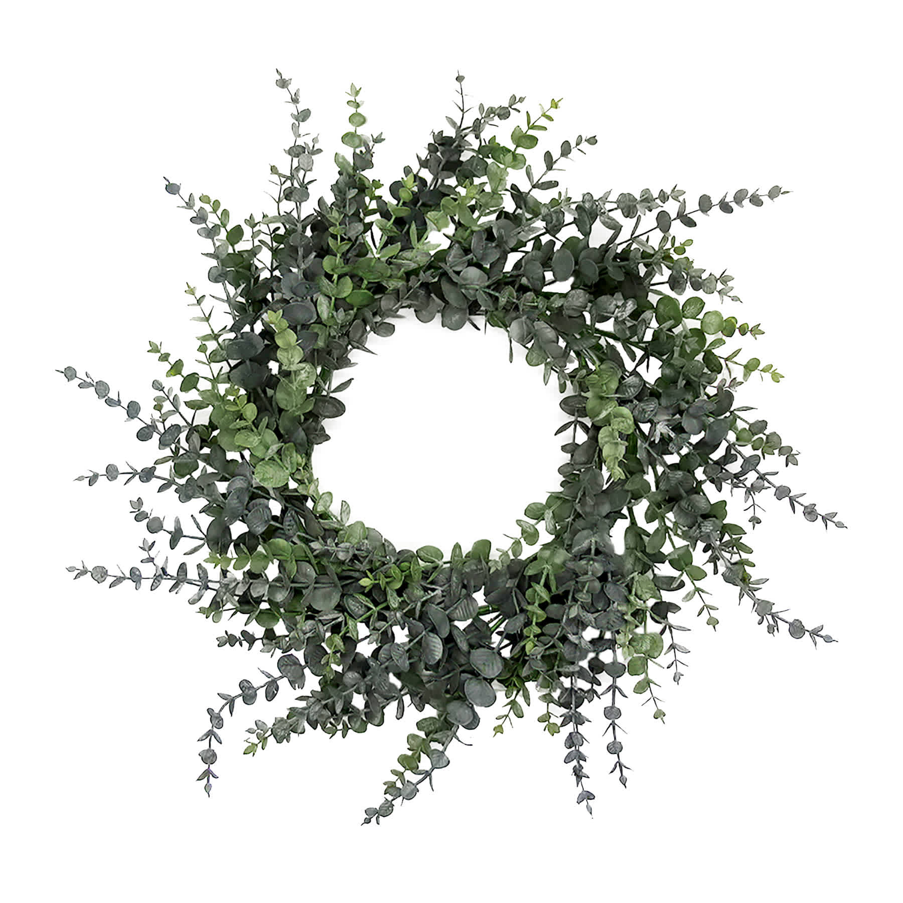 Honeybloom Eucalyptus Wreath, 24"