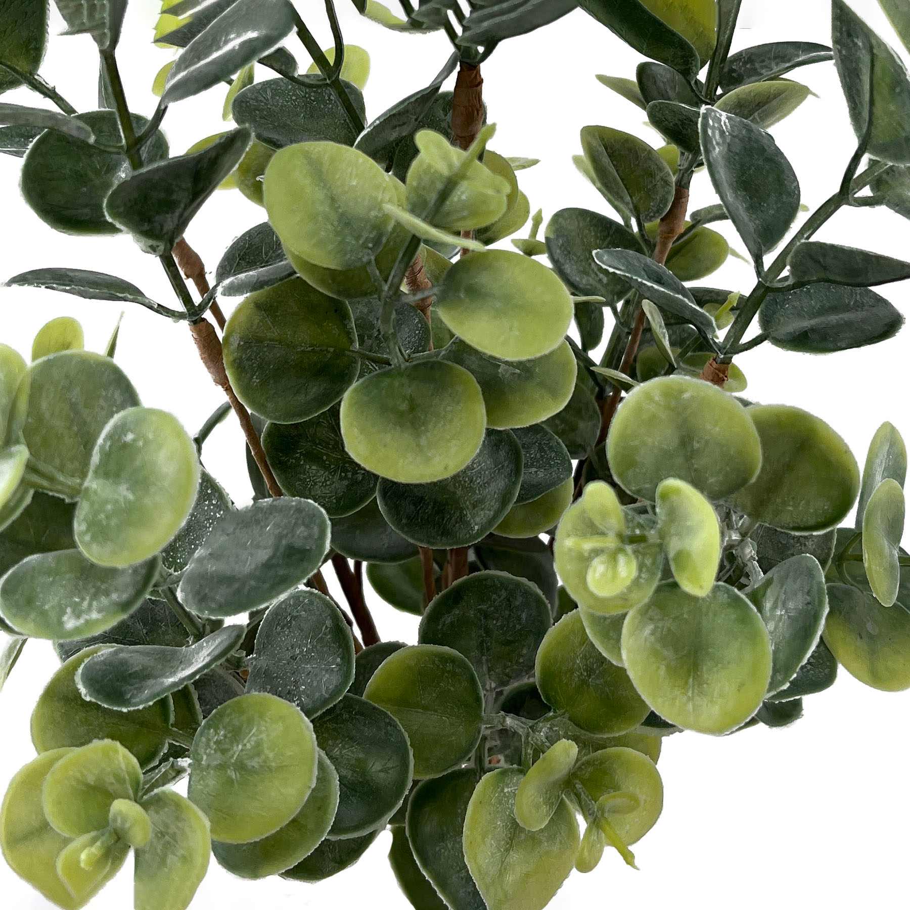 Eucalyptus Bush, 16"